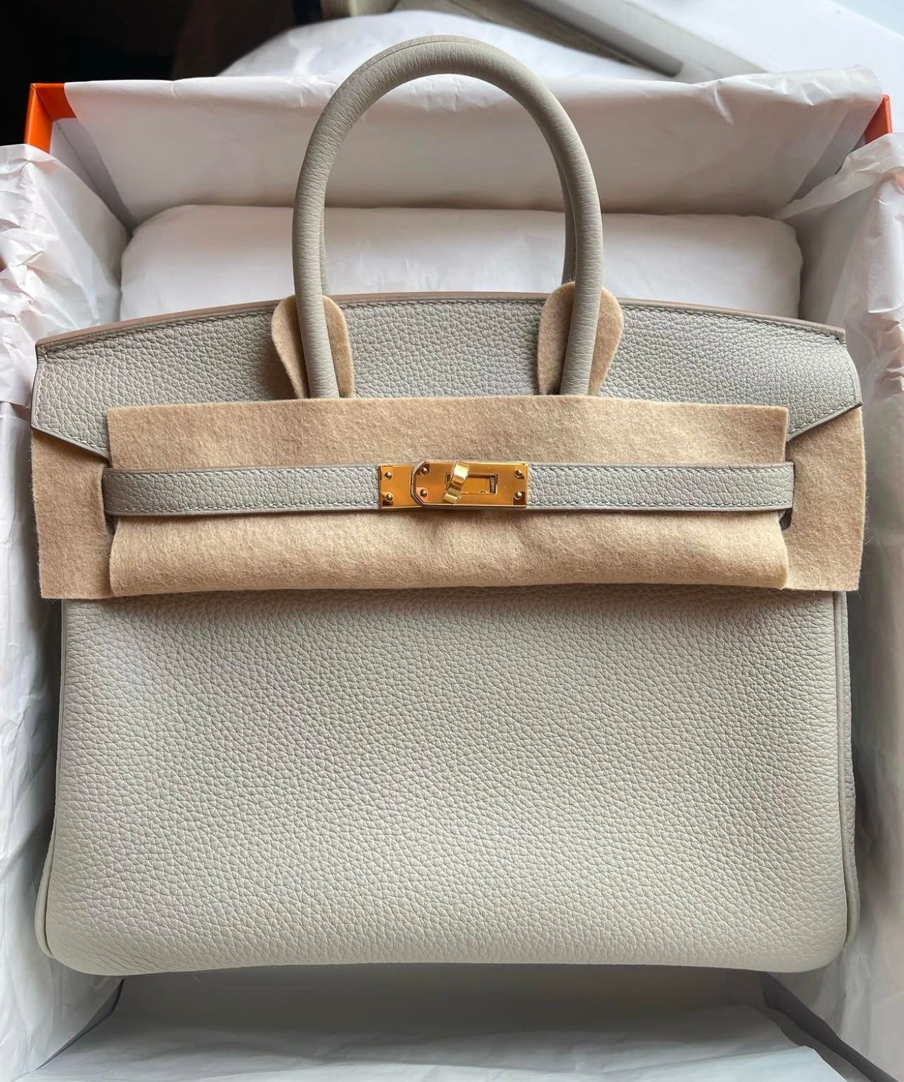 Hermes 2023 Birkin 25 Togo Gris Perle GHW - Carly Julia Sells Stuff, LLC