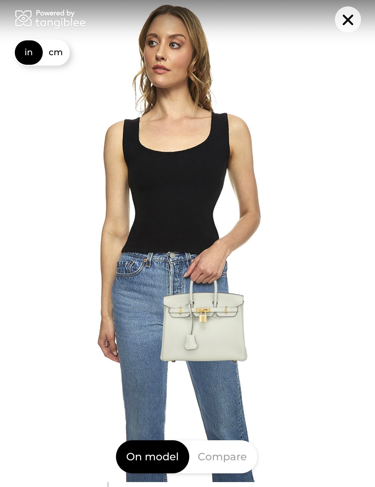 Hermes Birkin 25 2023 Togo Gris Neve GHW - Carly Julia Sells Stuff, LLC