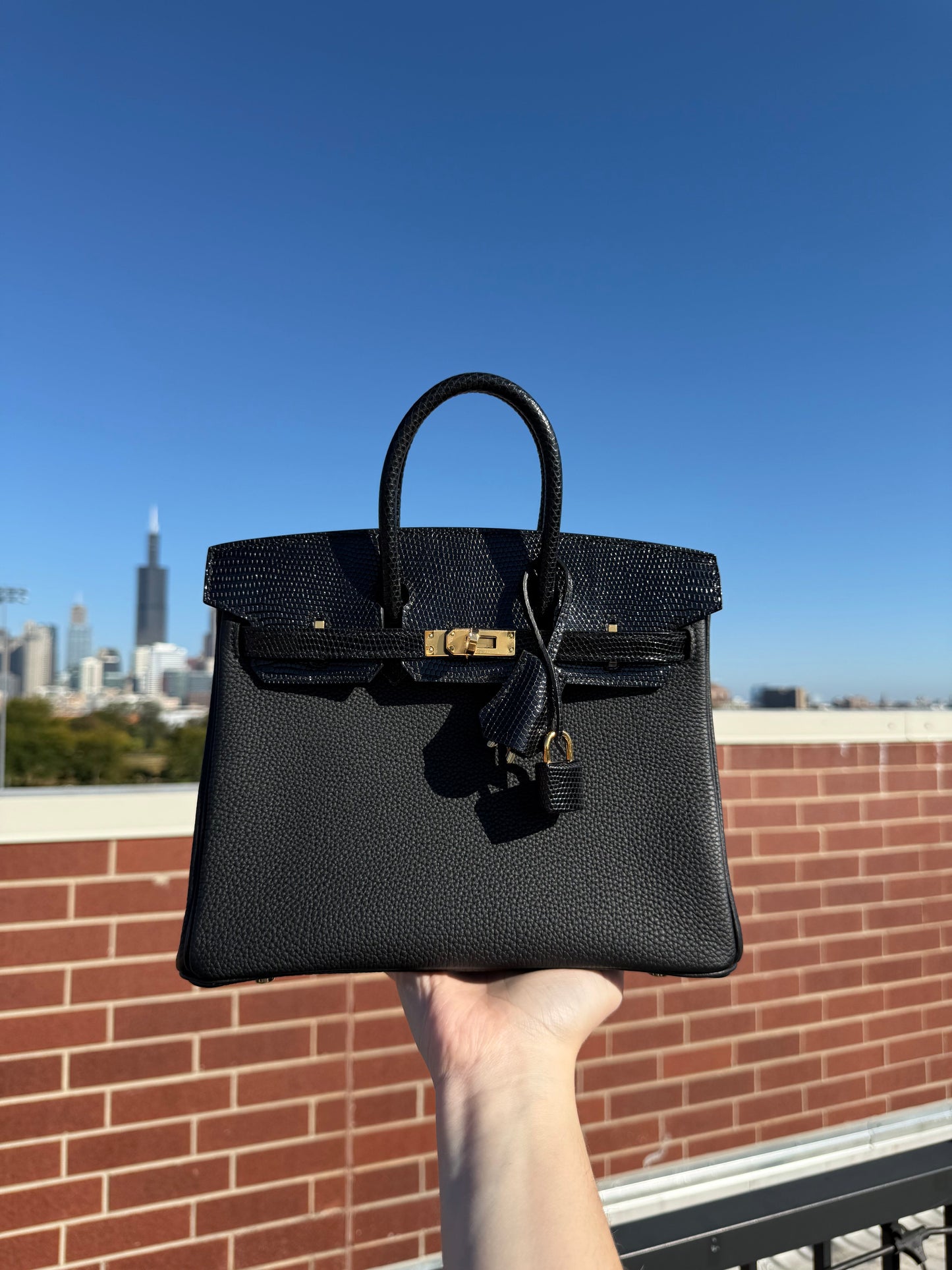 Hermes Birkin 25 Lizard Touch Noir GHW - Carly Julia Sells Stuff, LLC