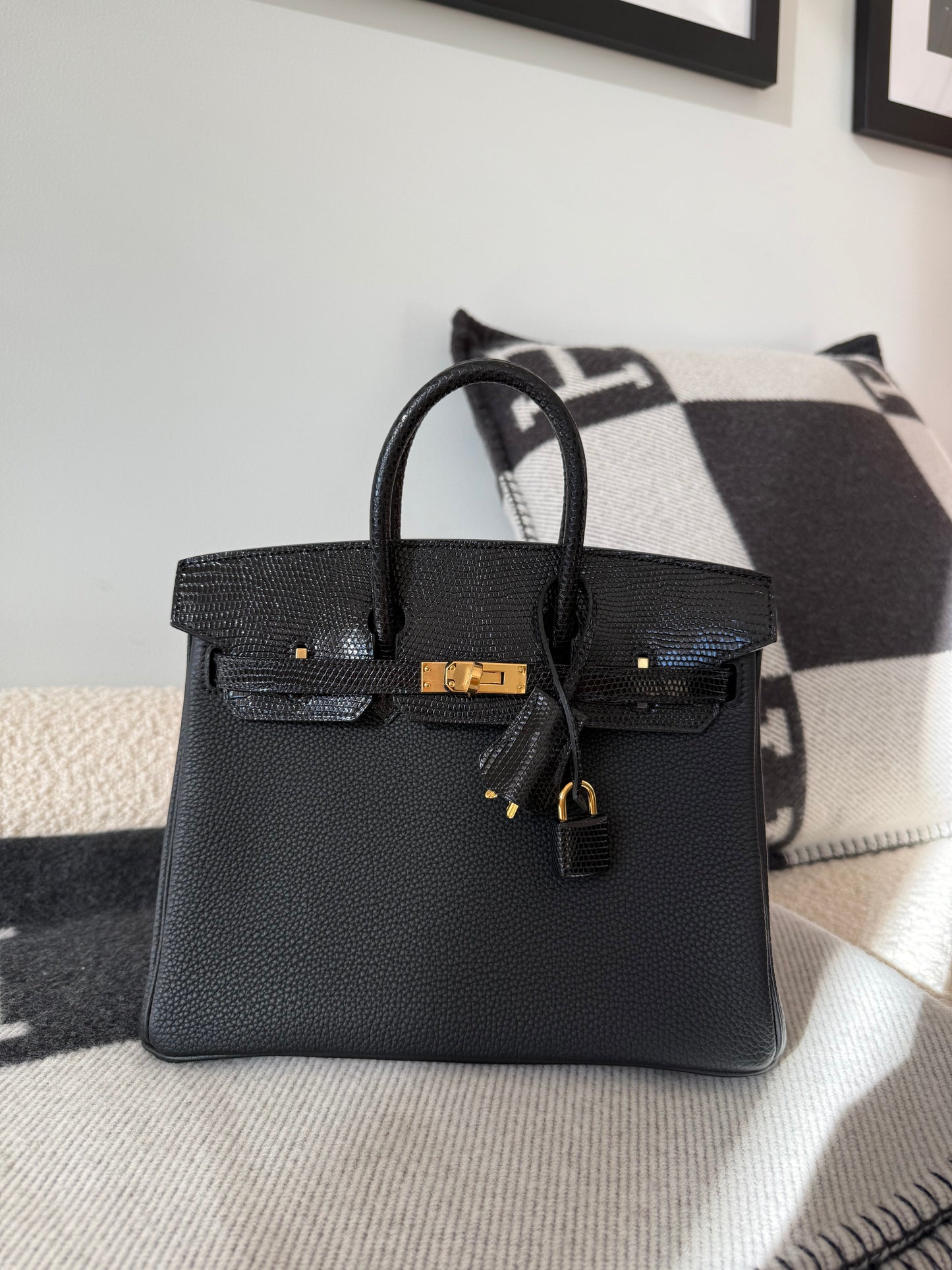 Hermes Birkin 25 Lizard Touch Noir GHW - Carly Julia Sells Stuff, LLC