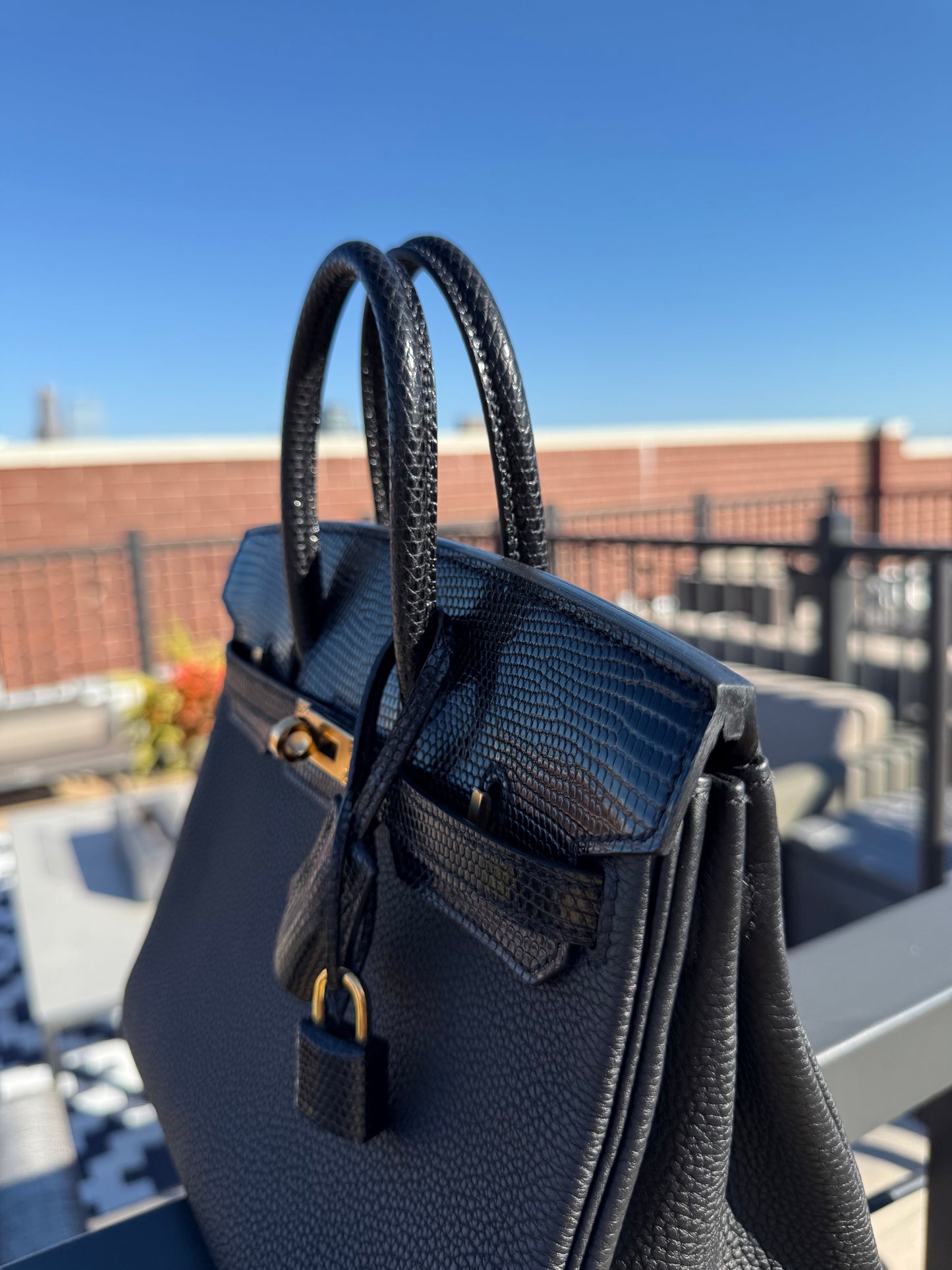 Hermes Birkin 25 Lizard Touch Noir GHW - Carly Julia Sells Stuff, LLC