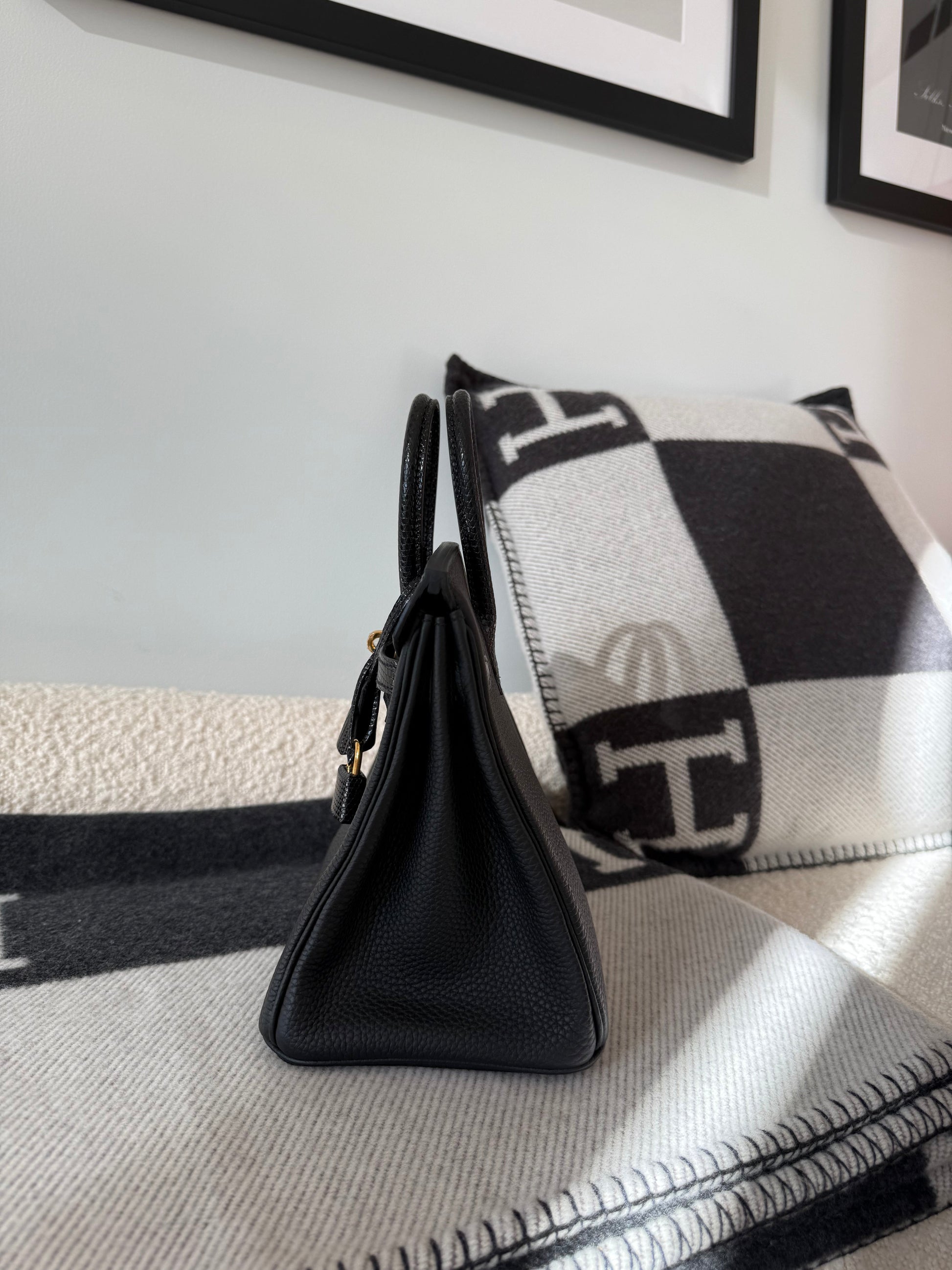 Hermes Birkin 25 Lizard Touch Noir GHW - Carly Julia Sells Stuff, LLC