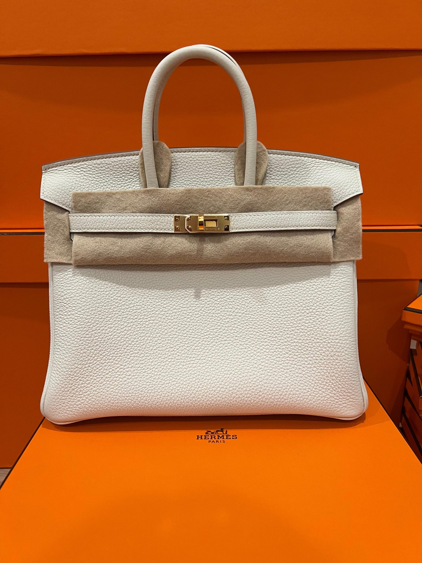 Hermes Birkin 25 Togo Mushroom GHW - Carly Julia Sells Stuff, LLC