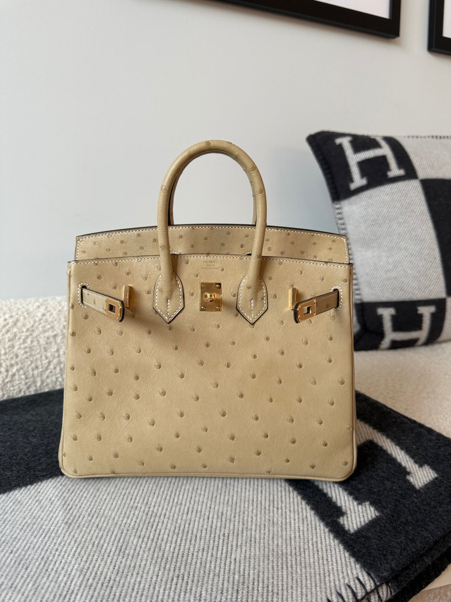 Hermes Birkin 25 Trench Ostrich GHW - Carly Julia Sells Stuff, LLC