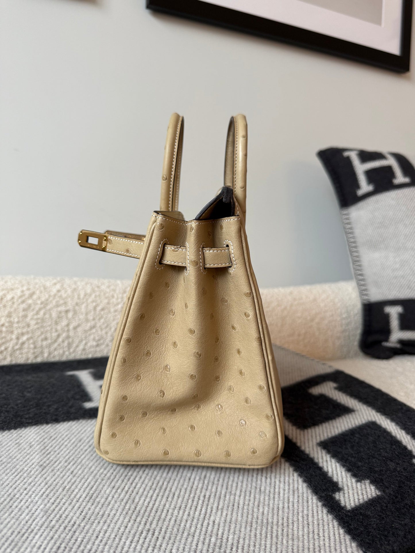 Hermes Birkin 25 Trench Ostrich GHW - Carly Julia Sells Stuff, LLC