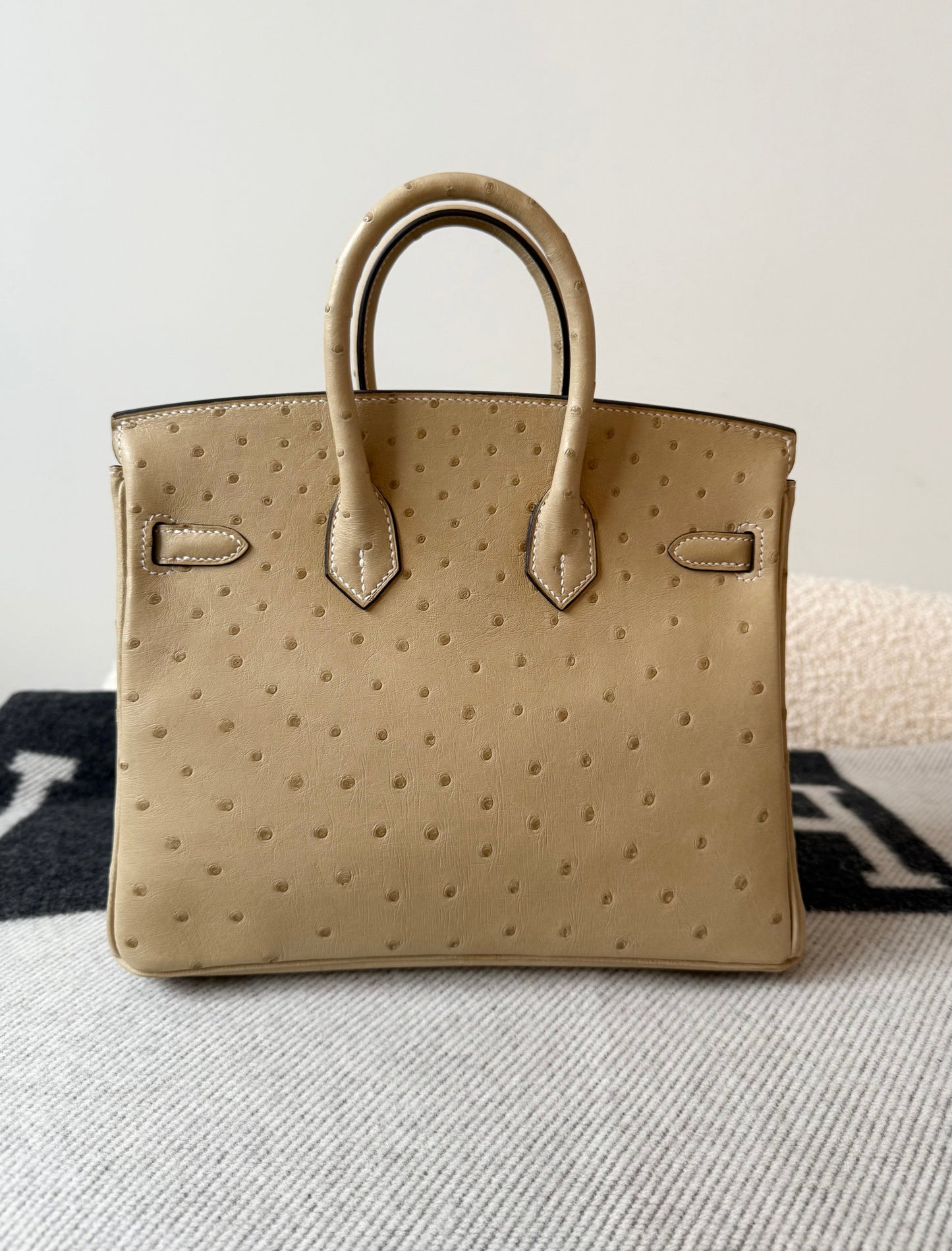 Hermes Birkin 25 Trench Ostrich GHW - Carly Julia Sells Stuff, LLC