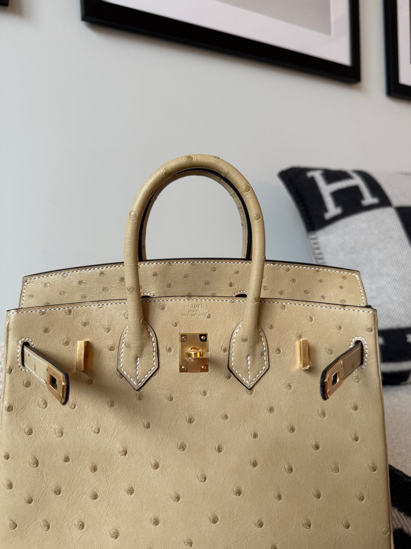 Hermes Birkin 25 Trench Ostrich GHW - Carly Julia Sells Stuff, LLC