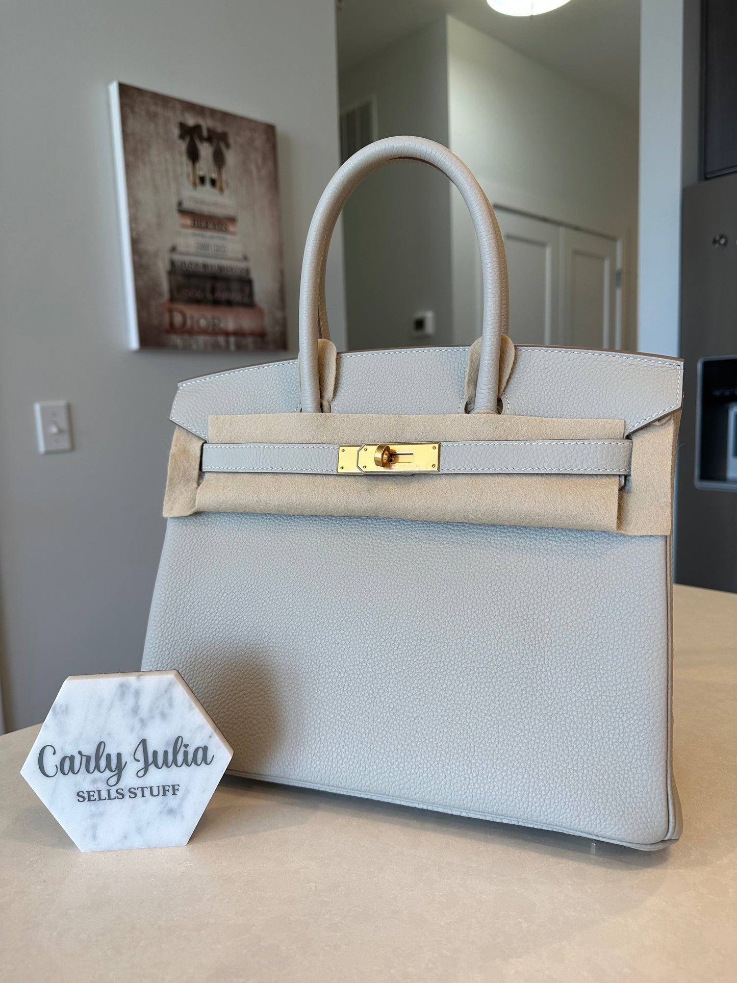Hermes Birkin 30 Gris Perle GHW - Carly Julia Sells Stuff, LLC