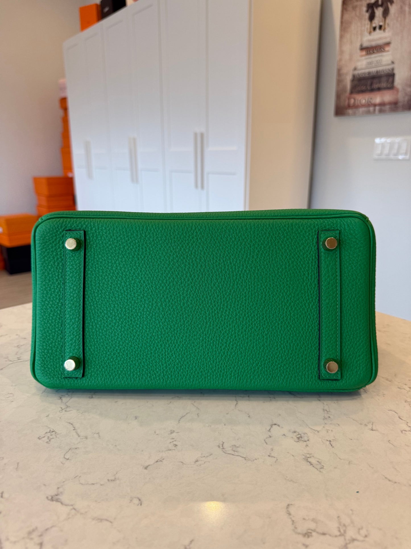 Hermes Birkin 30 Togo Bamboo Green GHW - Carly Julia Sells Stuff, LLC