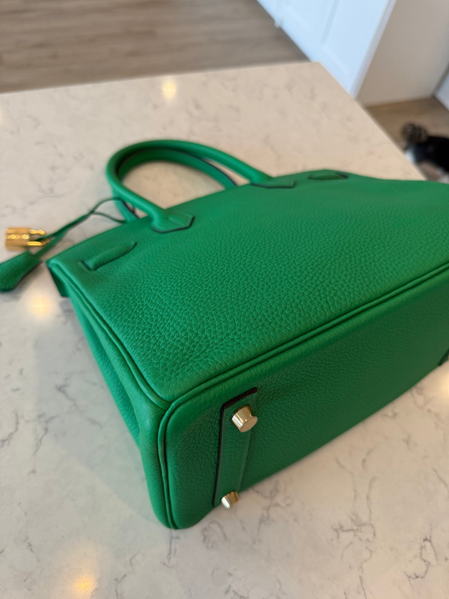 Hermes Birkin 30 Togo Bamboo Green GHW - Carly Julia Sells Stuff, LLC