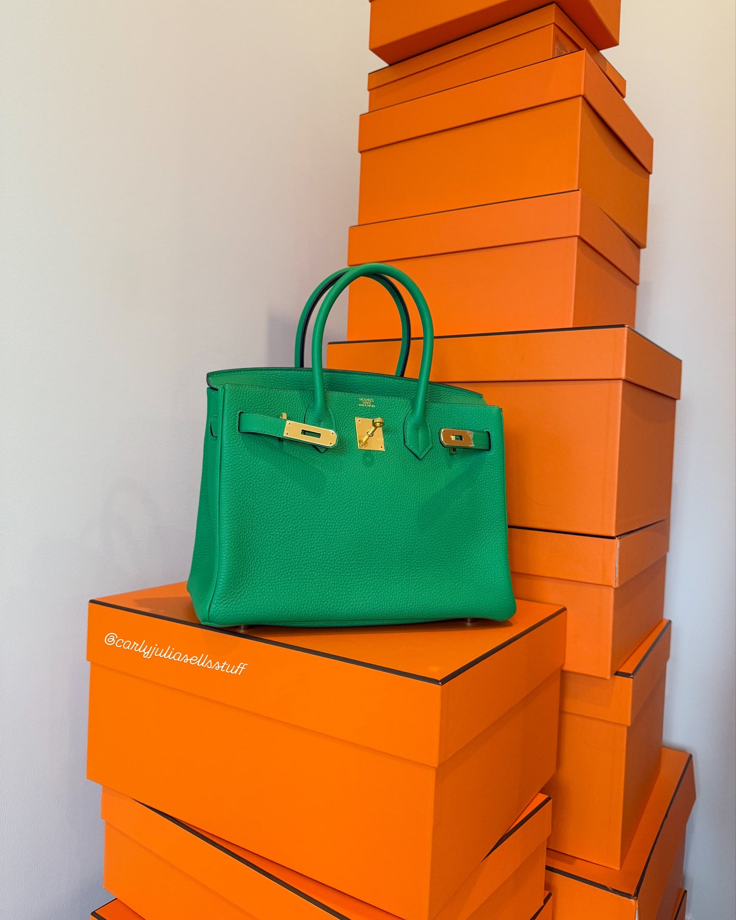 Hermes Birkin 30 Togo Bamboo Green GHW - Carly Julia Sells Stuff, LLC