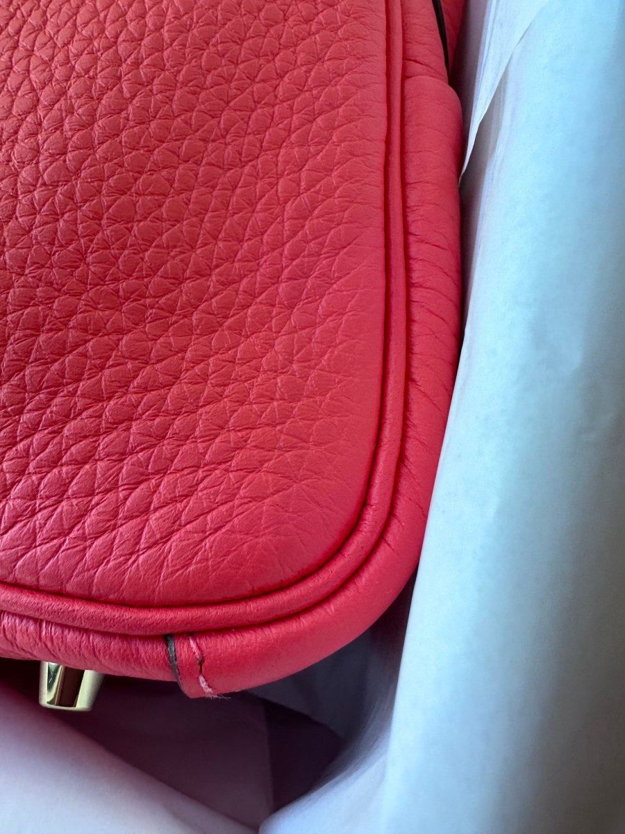Hermès 2022 Mini Lindy 20 Rose Texas GHW - Carly Julia Sells Stuff, LLC