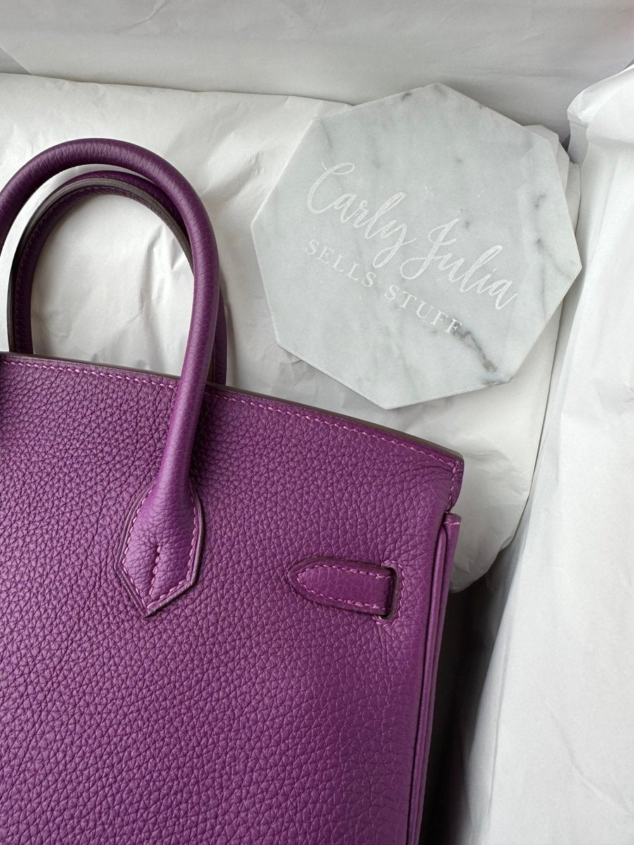 Hermes Birkin 25 Anemone Togo GHW - Carly Julia Sells Stuff, LLC