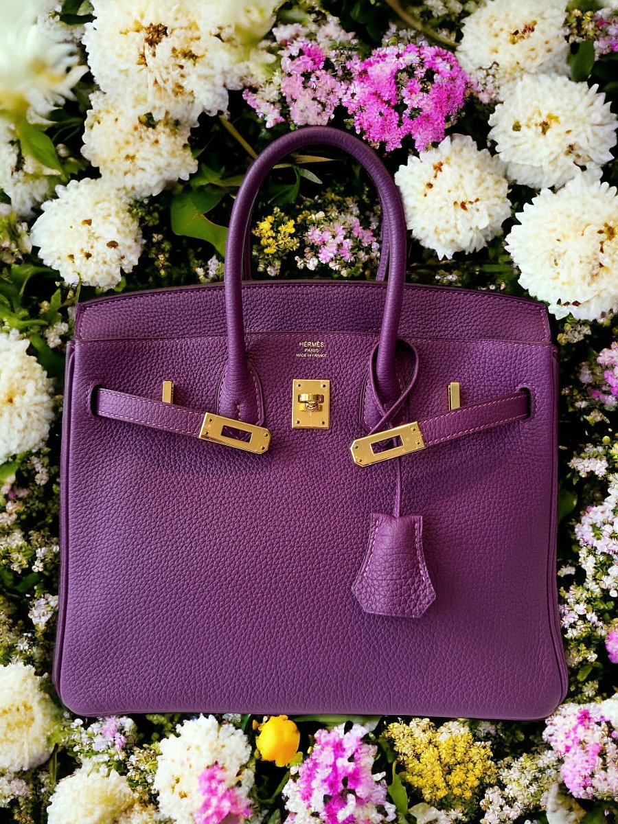 Hermes Birkin 25 Anemone Togo GHW - Carly Julia Sells Stuff, LLC