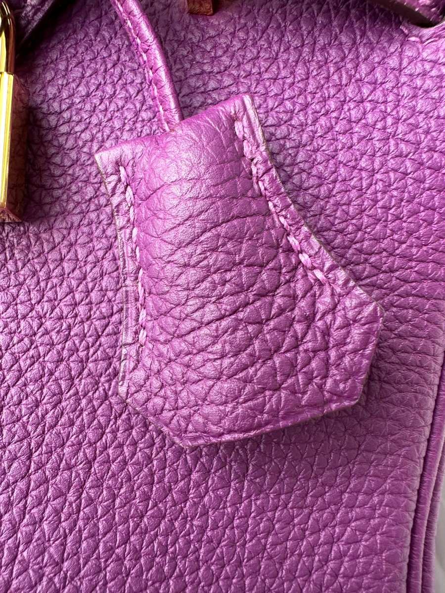 Hermes Birkin 25 Anemone Togo GHW - Carly Julia Sells Stuff, LLC