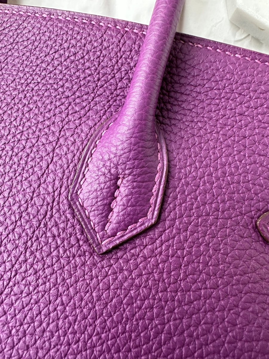 Hermes Birkin 25 Anemone Togo GHW - Carly Julia Sells Stuff, LLC