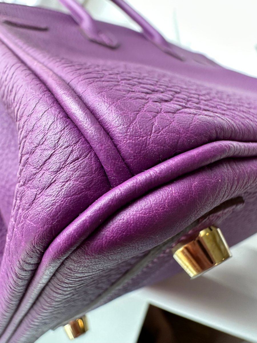 Hermes Birkin 25 Anemone Togo GHW - Carly Julia Sells Stuff, LLC