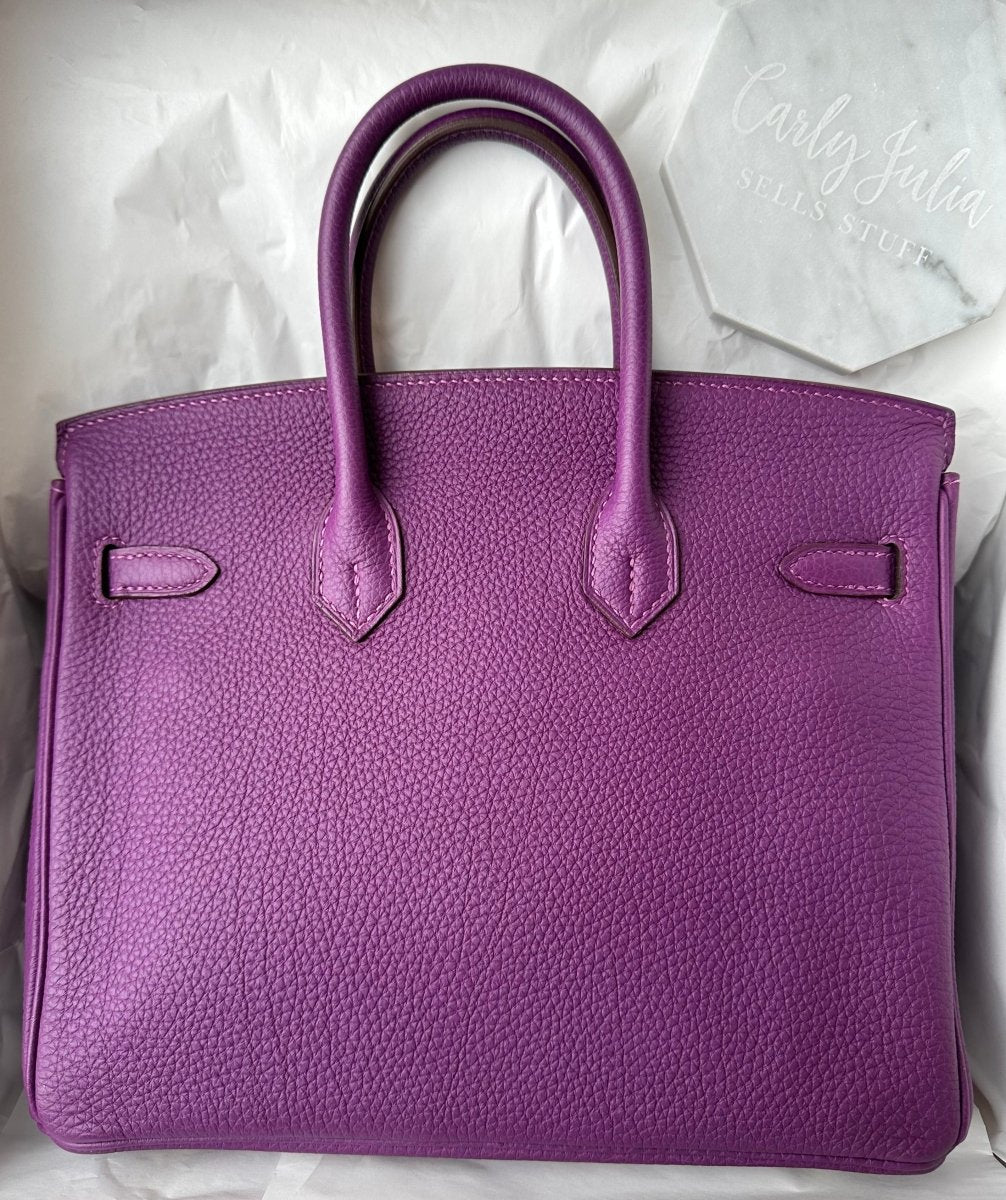 Hermes Birkin 25 Anemone Togo GHW - Carly Julia Sells Stuff, LLC