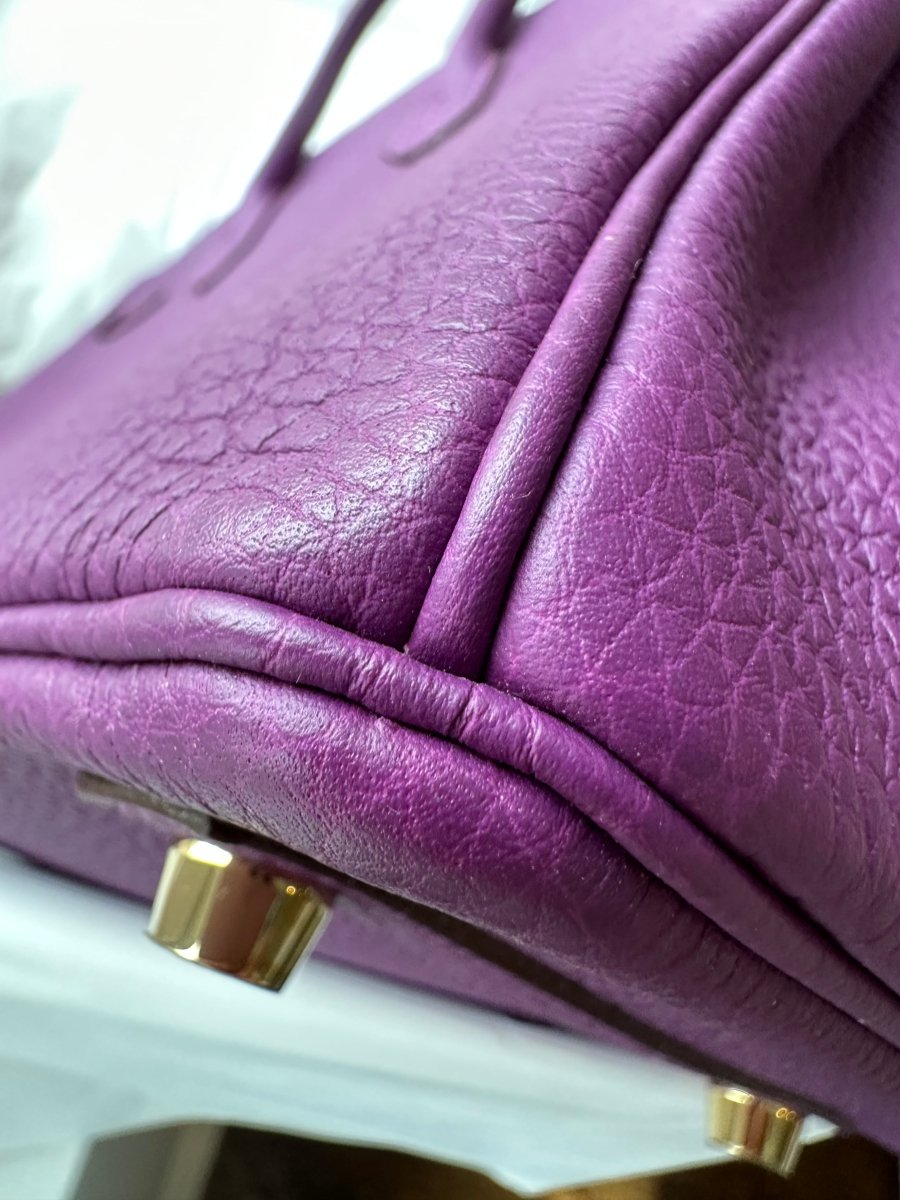 Hermes Birkin 25 Anemone Togo GHW - Carly Julia Sells Stuff, LLC