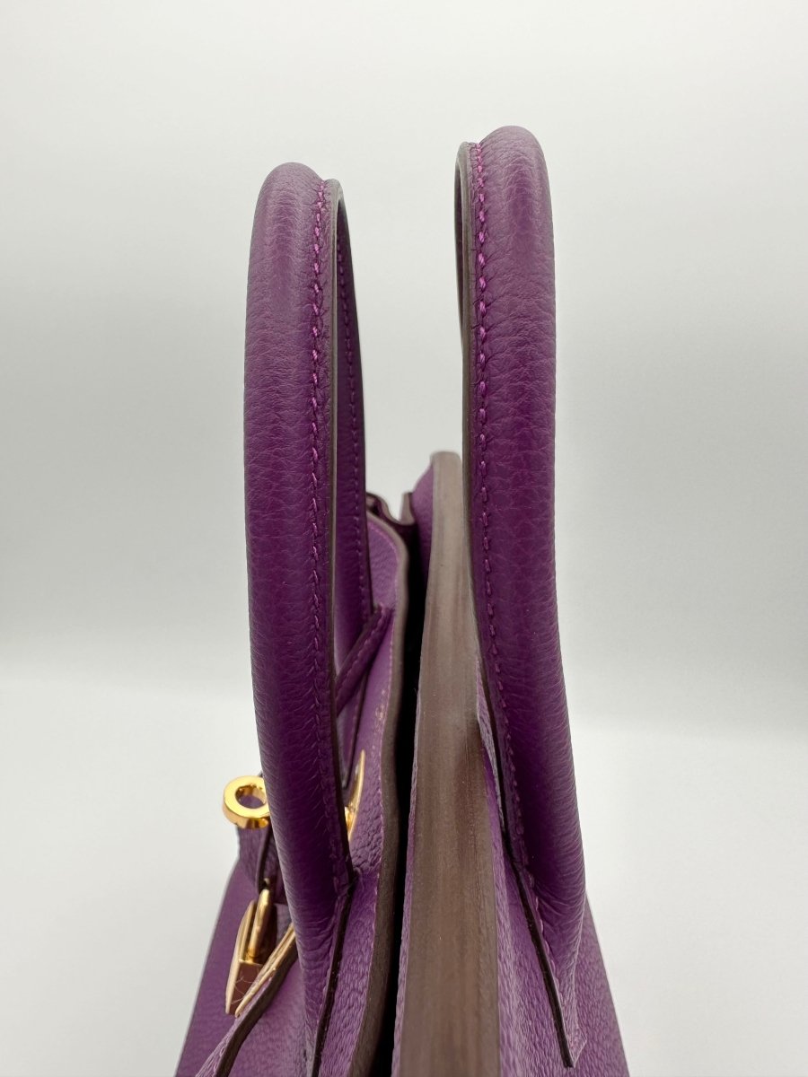 Hermes Birkin 25 Anemone Togo GHW - Carly Julia Sells Stuff, LLC
