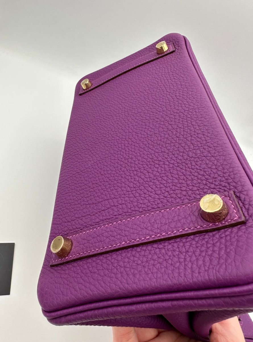 Hermes Birkin 25 Anemone Togo GHW - Carly Julia Sells Stuff, LLC