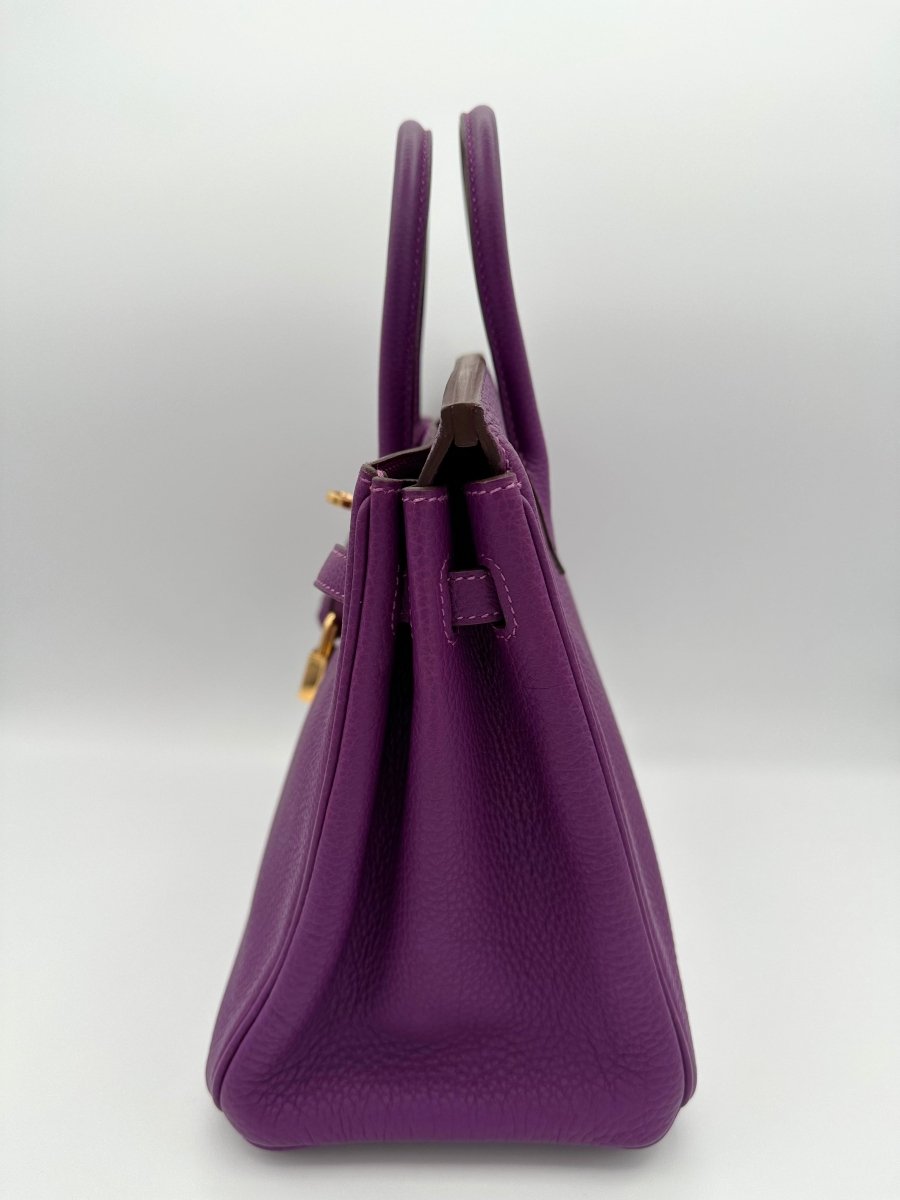 Hermes Birkin 25 Anemone Togo GHW - Carly Julia Sells Stuff, LLC