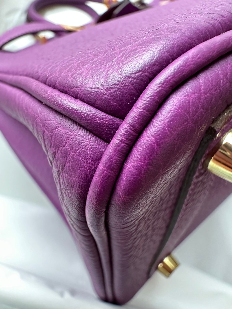Hermes Birkin 25 Anemone Togo GHW - Carly Julia Sells Stuff, LLC