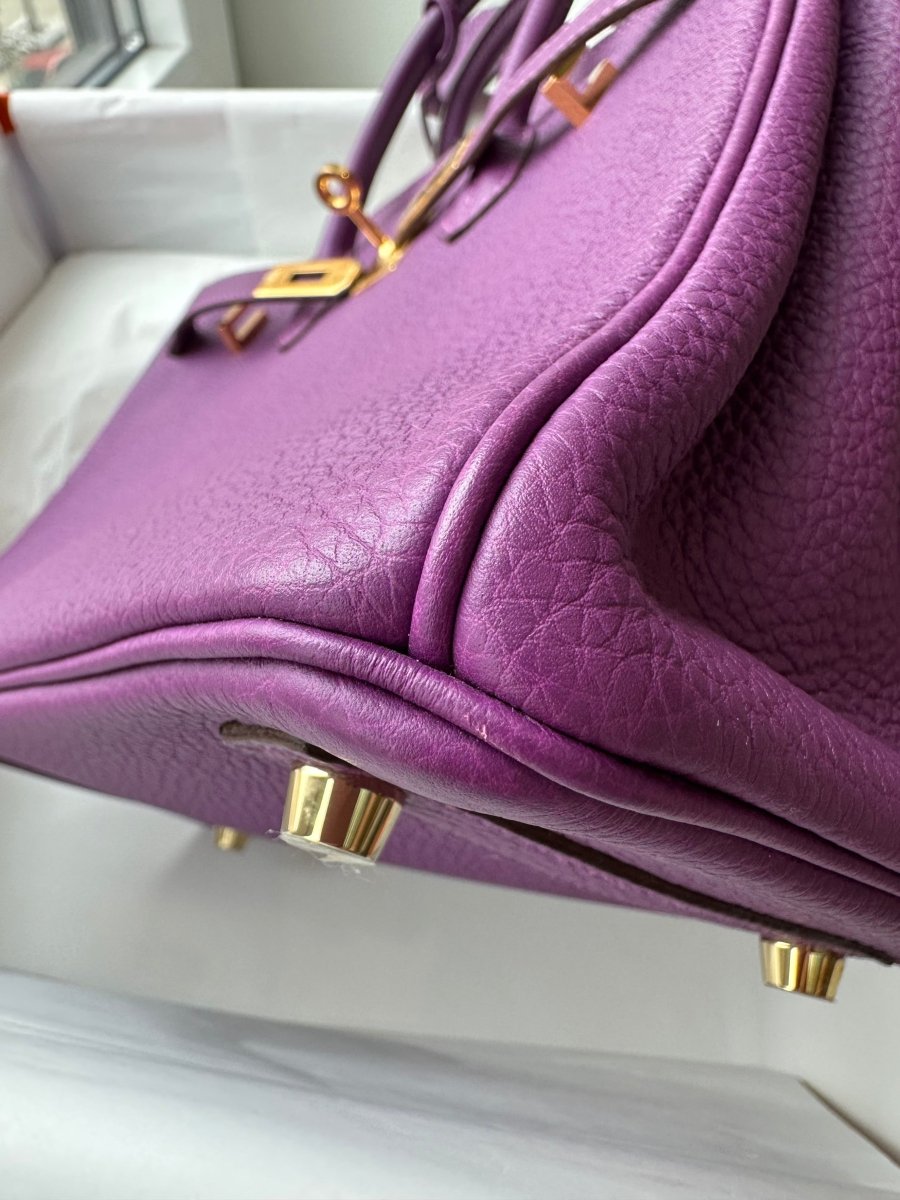 Hermes Birkin 25 Anemone Togo GHW - Carly Julia Sells Stuff, LLC