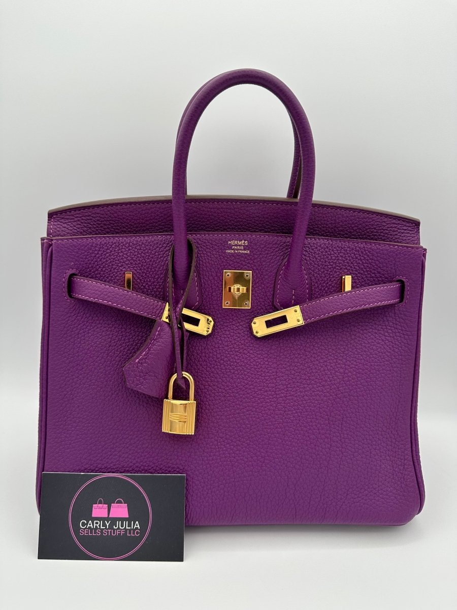Hermes Birkin 25 Anemone Togo GHW - Carly Julia Sells Stuff, LLC