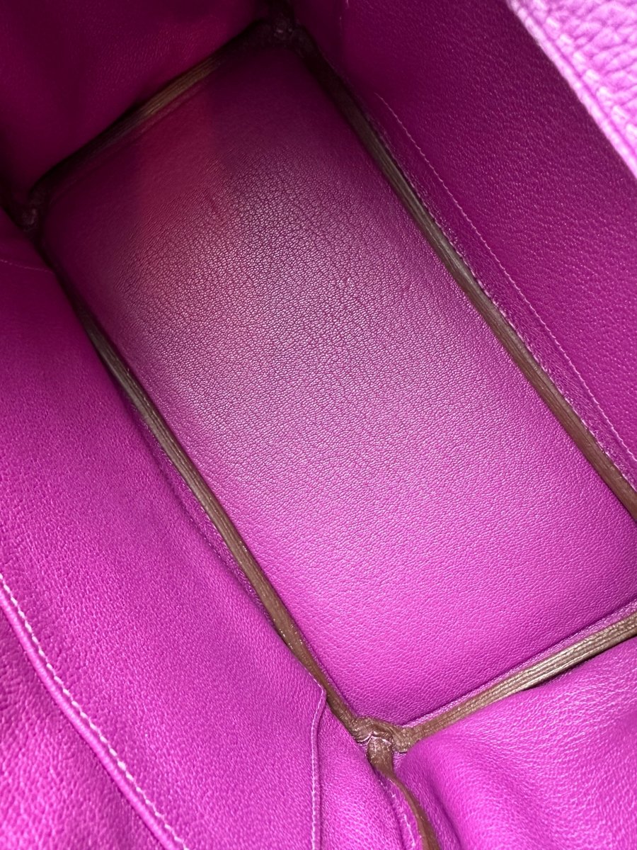 Hermes Birkin 25 Anemone Togo GHW - Carly Julia Sells Stuff, LLC