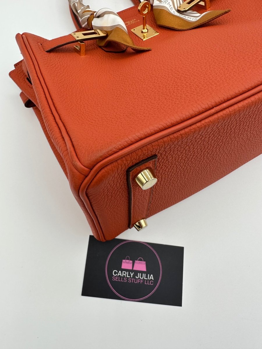 Hermes Birkin 25 Togo GHW Cuivre - Carly Julia Sells Stuff, LLC