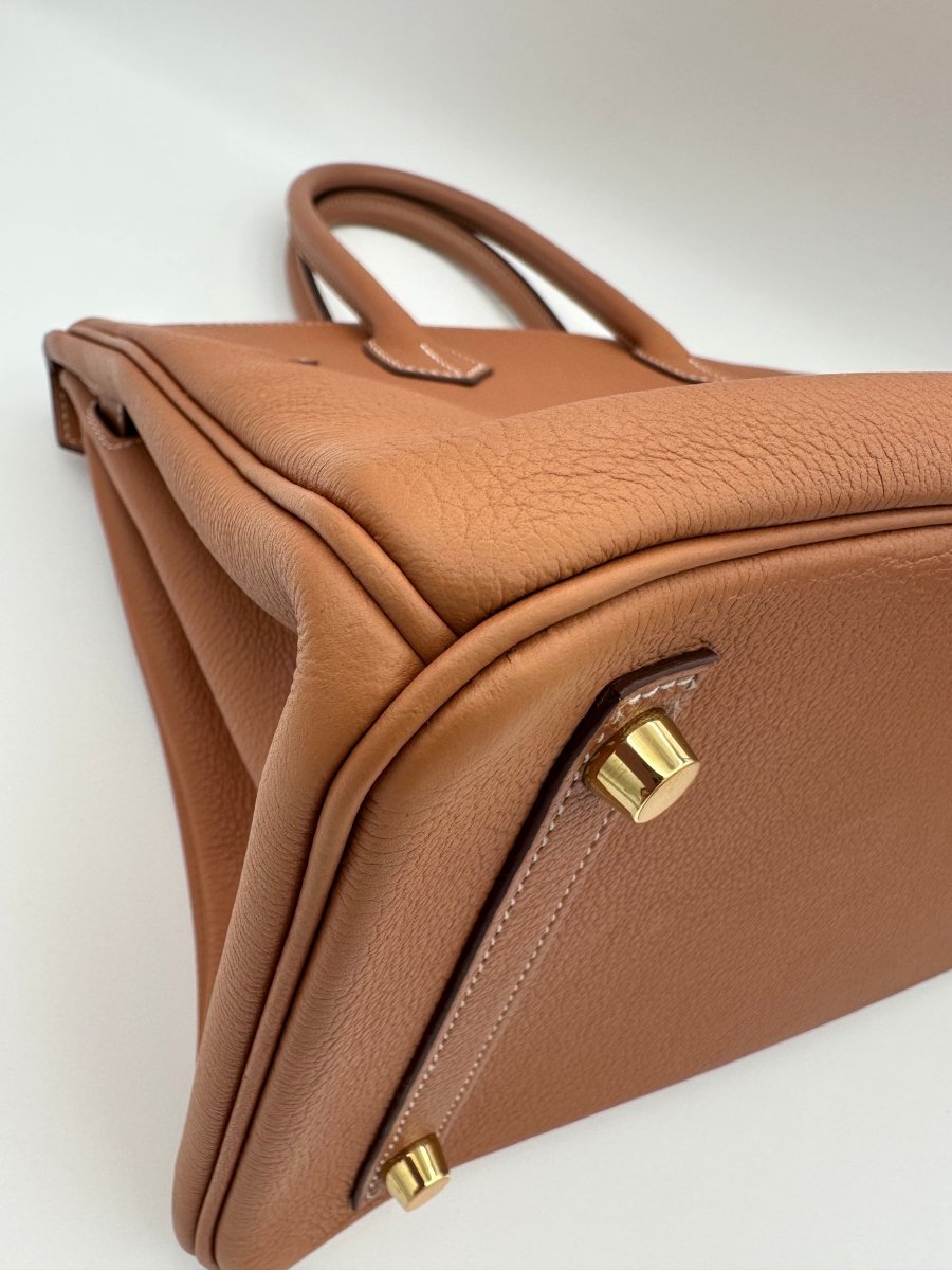 Hermes Birkin 30 Gold on Gold - Carly Julia Sells Stuff, LLC