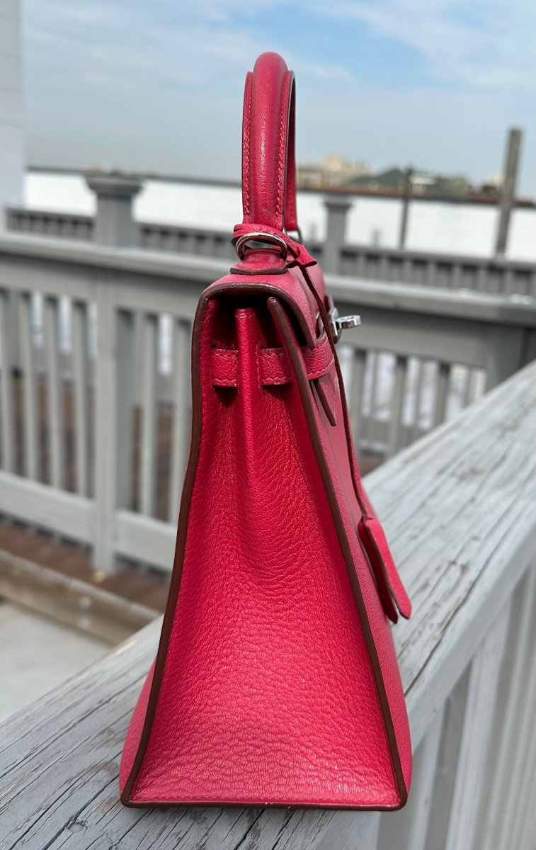 Hermes Kelly 25 Chèvre PHW - Carly Julia Sells Stuff, LLC