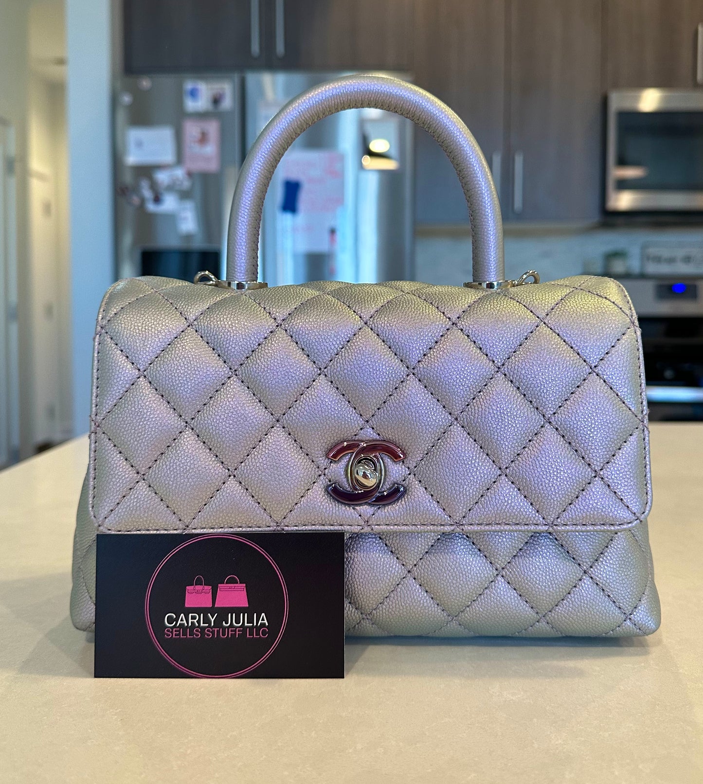 CHANEL Iridescent Mini Coco Handle