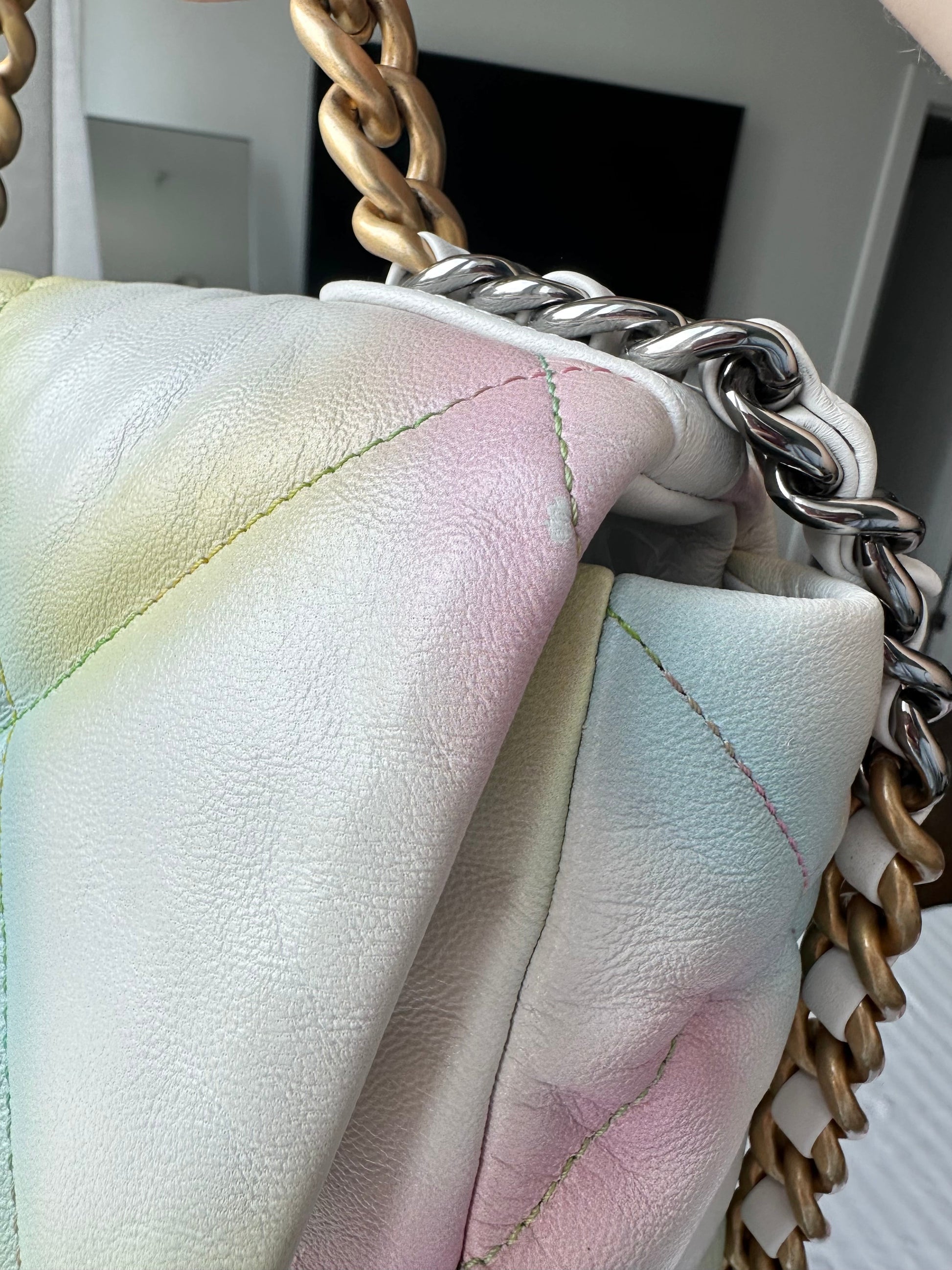 CHANEL 19 Rainbow Multicolor Flap Goatskin - Carly Julia Sells Stuff, LLC