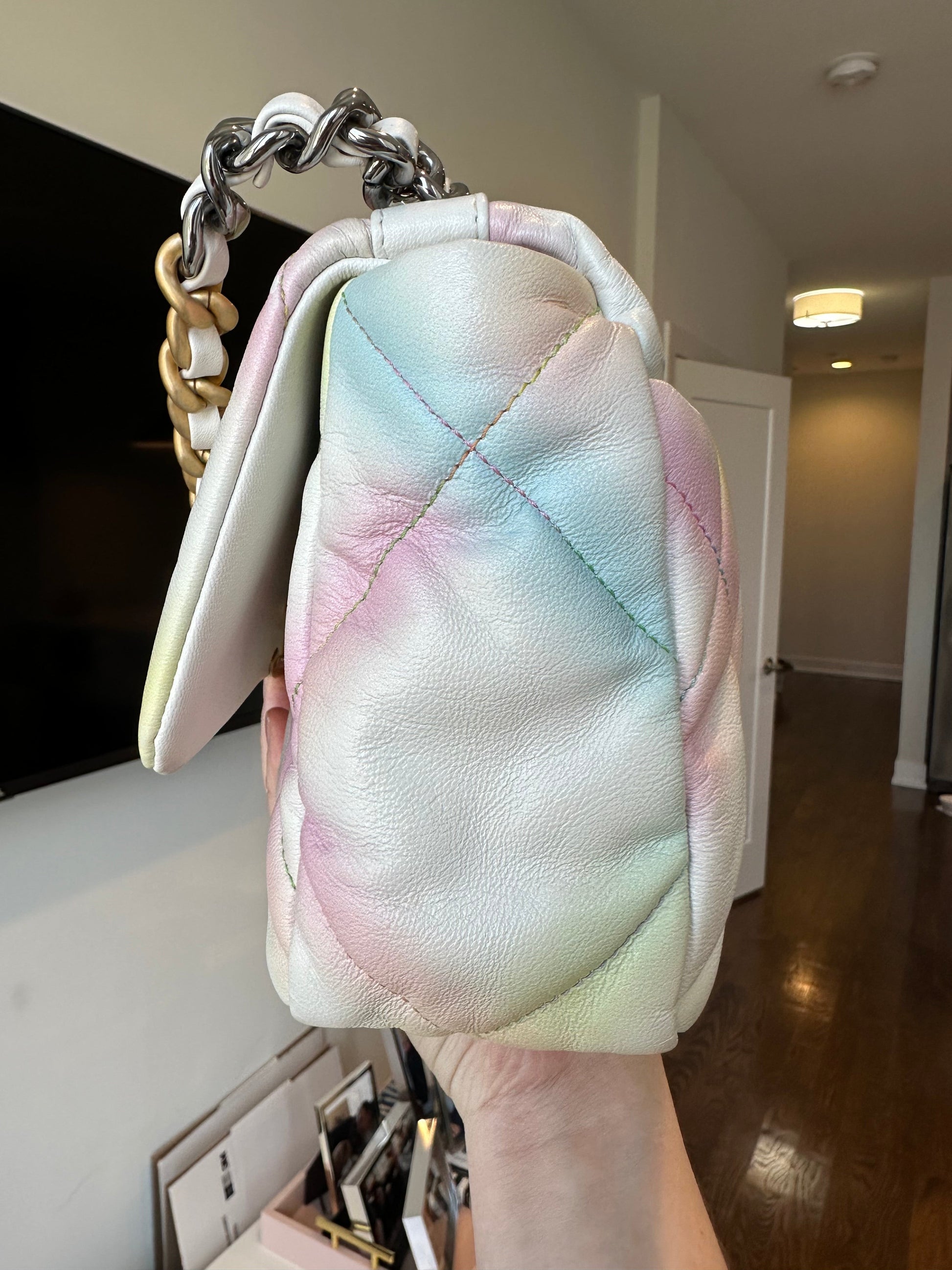 CHANEL 19 Rainbow Multicolor Flap Goatskin - Carly Julia Sells Stuff, LLC