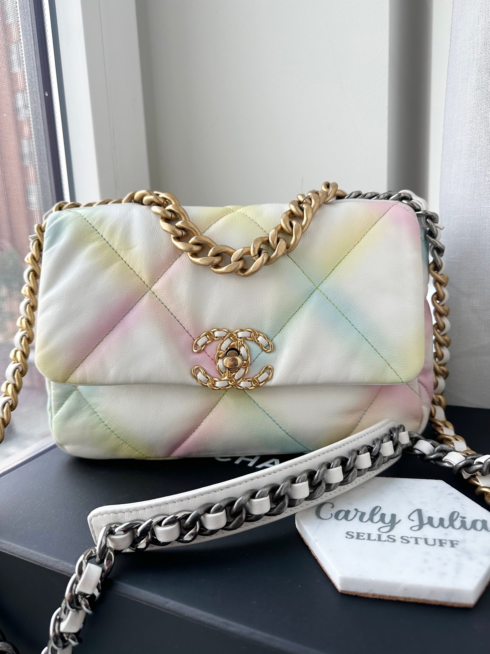 CHANEL 19 Rainbow Multicolor Flap Goatskin - Carly Julia Sells Stuff, LLC