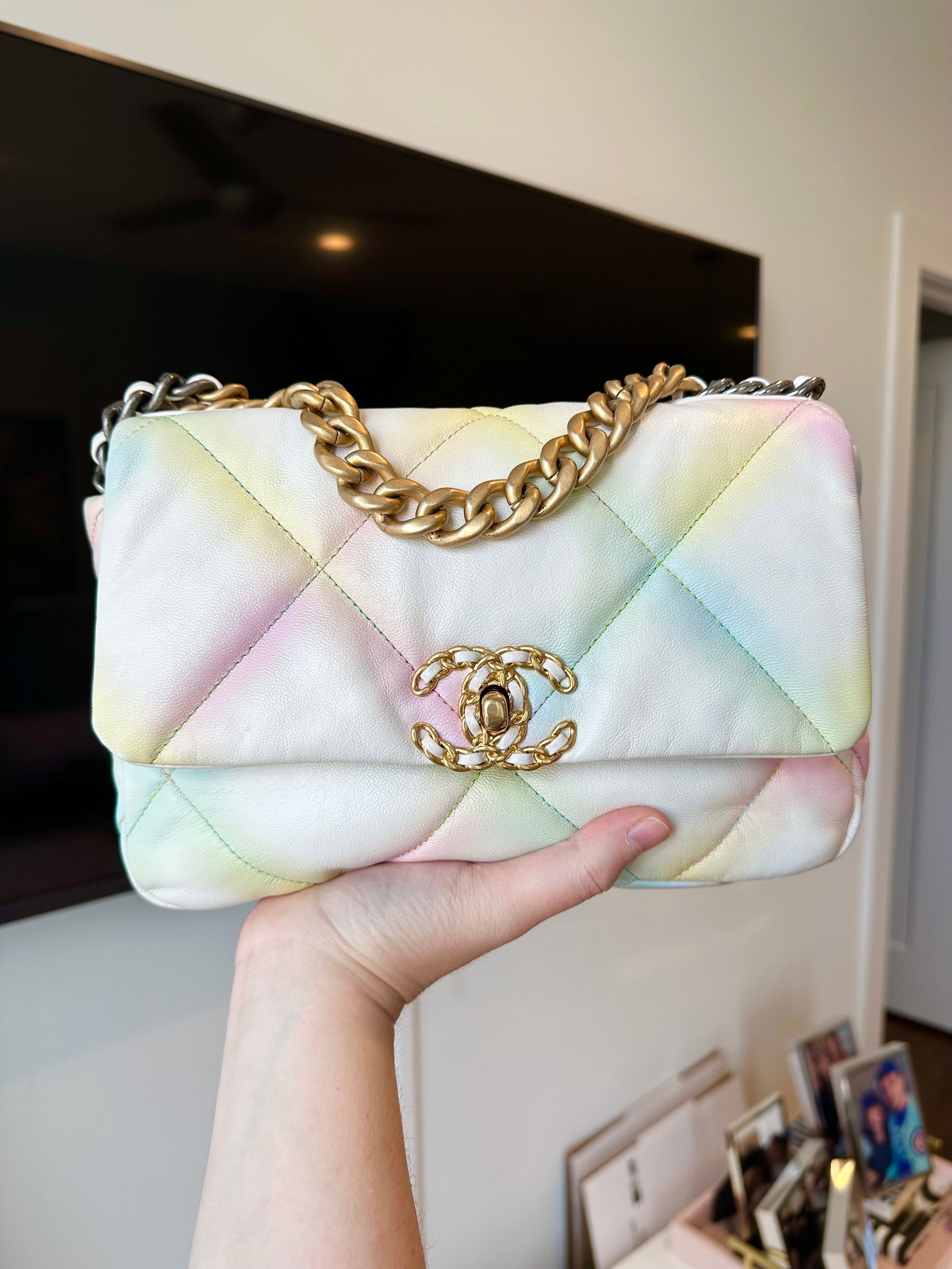 CHANEL 19 Rainbow Multicolor Flap Goatskin - Carly Julia Sells Stuff, LLC