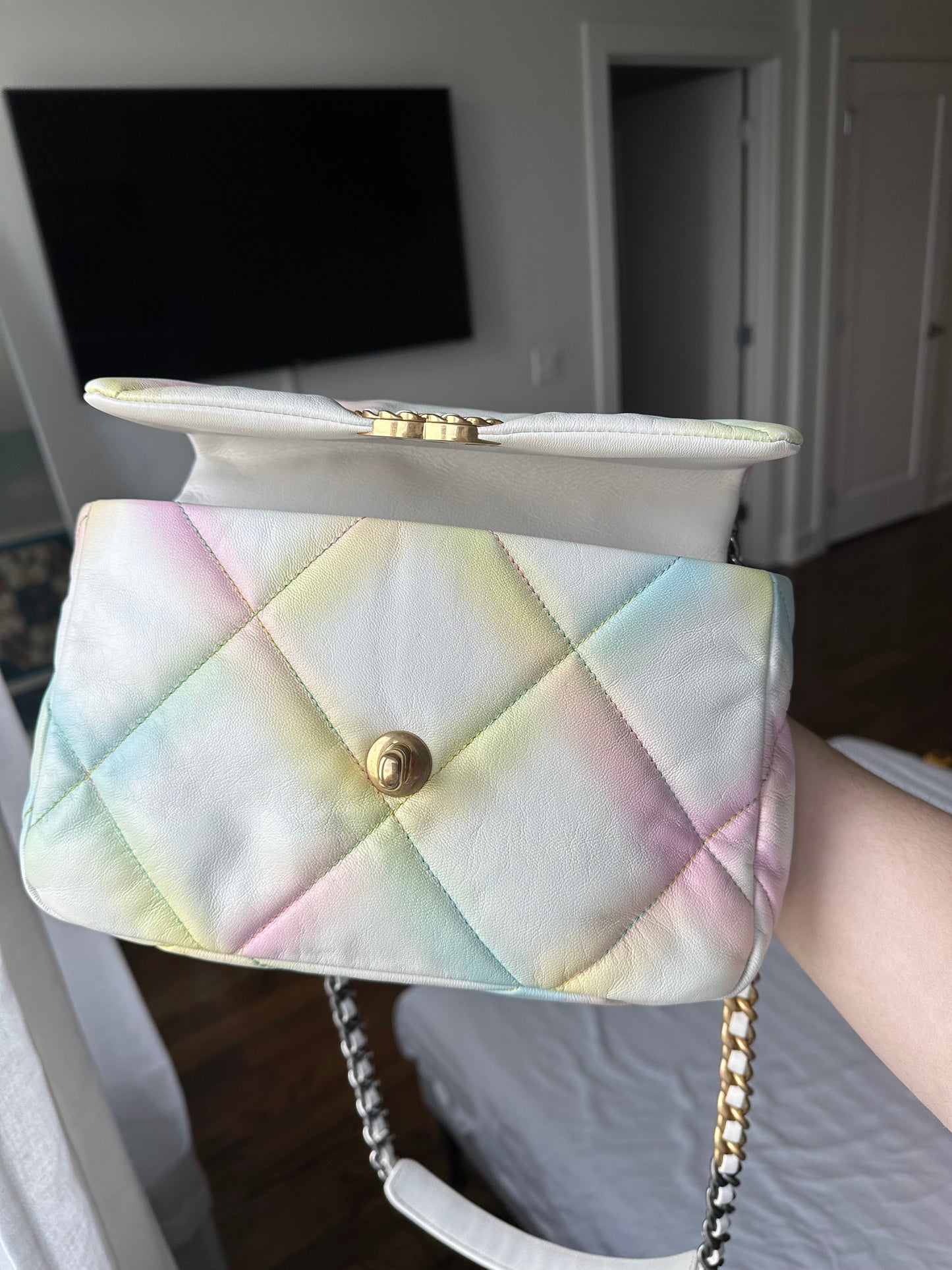 CHANEL 19 Rainbow Multicolor Flap Goatskin - Carly Julia Sells Stuff, LLC