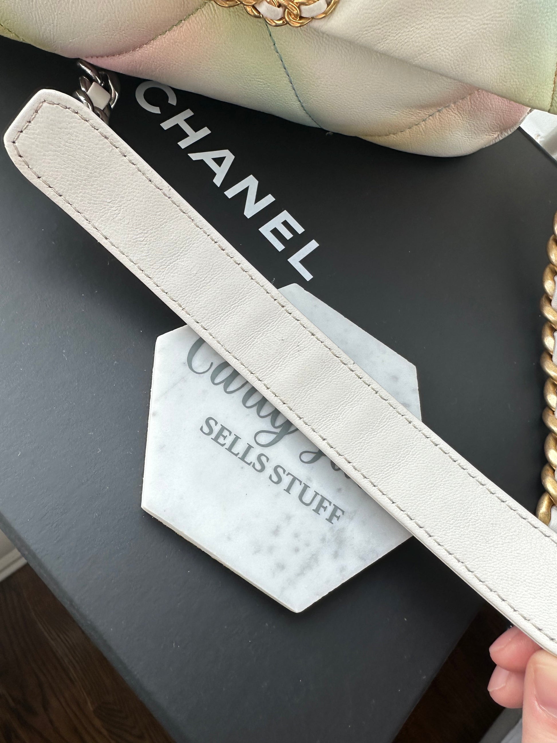 CHANEL 19 Rainbow Multicolor Flap Goatskin - Carly Julia Sells Stuff, LLC