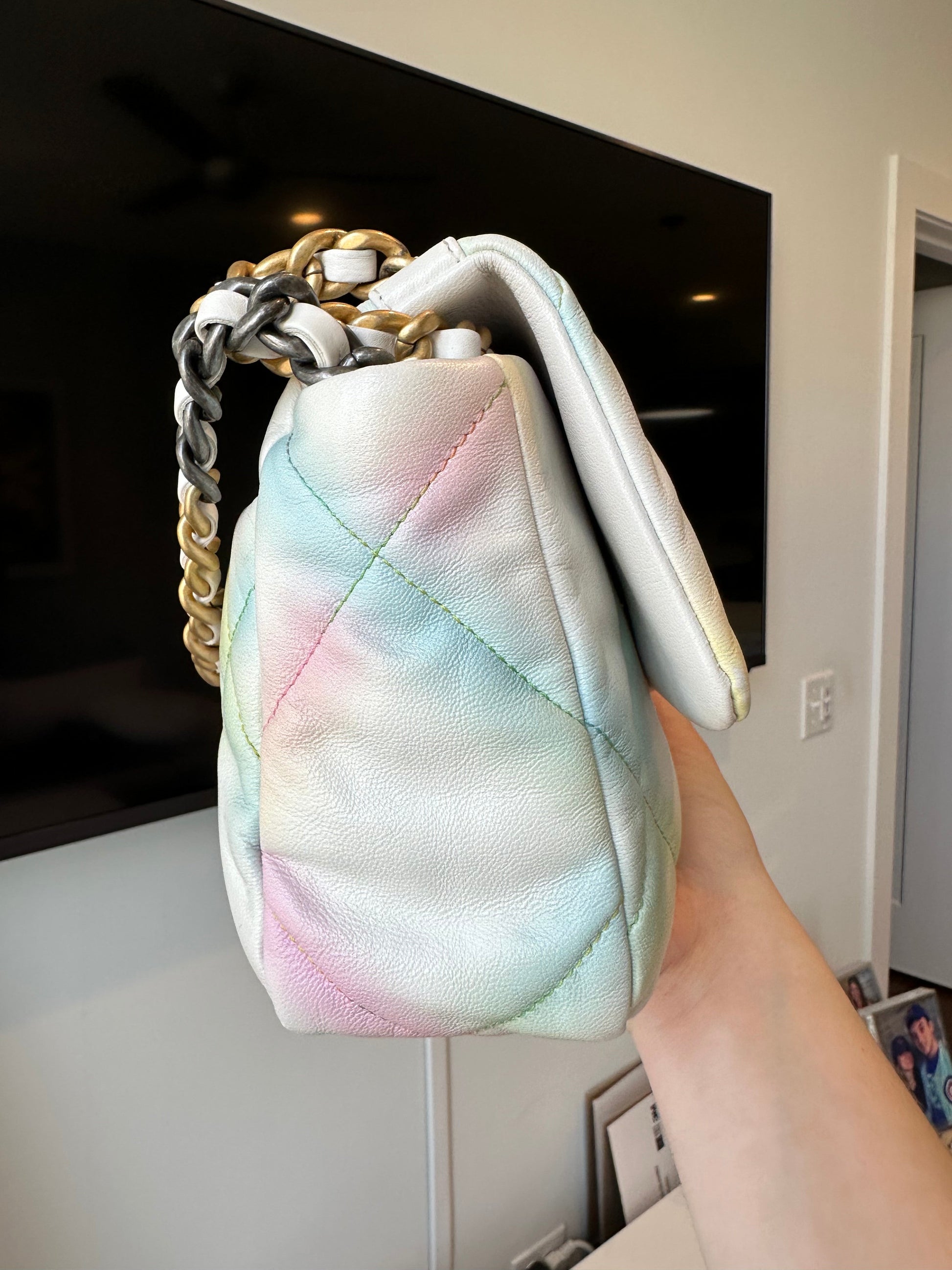 CHANEL 19 Rainbow Multicolor Flap Goatskin - Carly Julia Sells Stuff, LLC