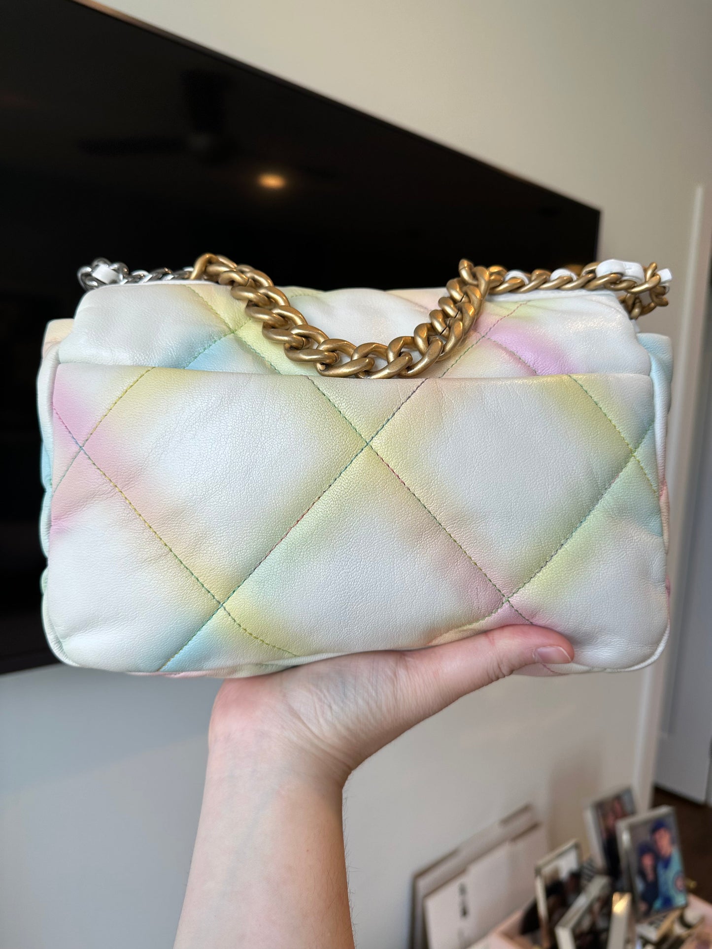 CHANEL 19 Rainbow Multicolor Flap Goatskin - Carly Julia Sells Stuff, LLC