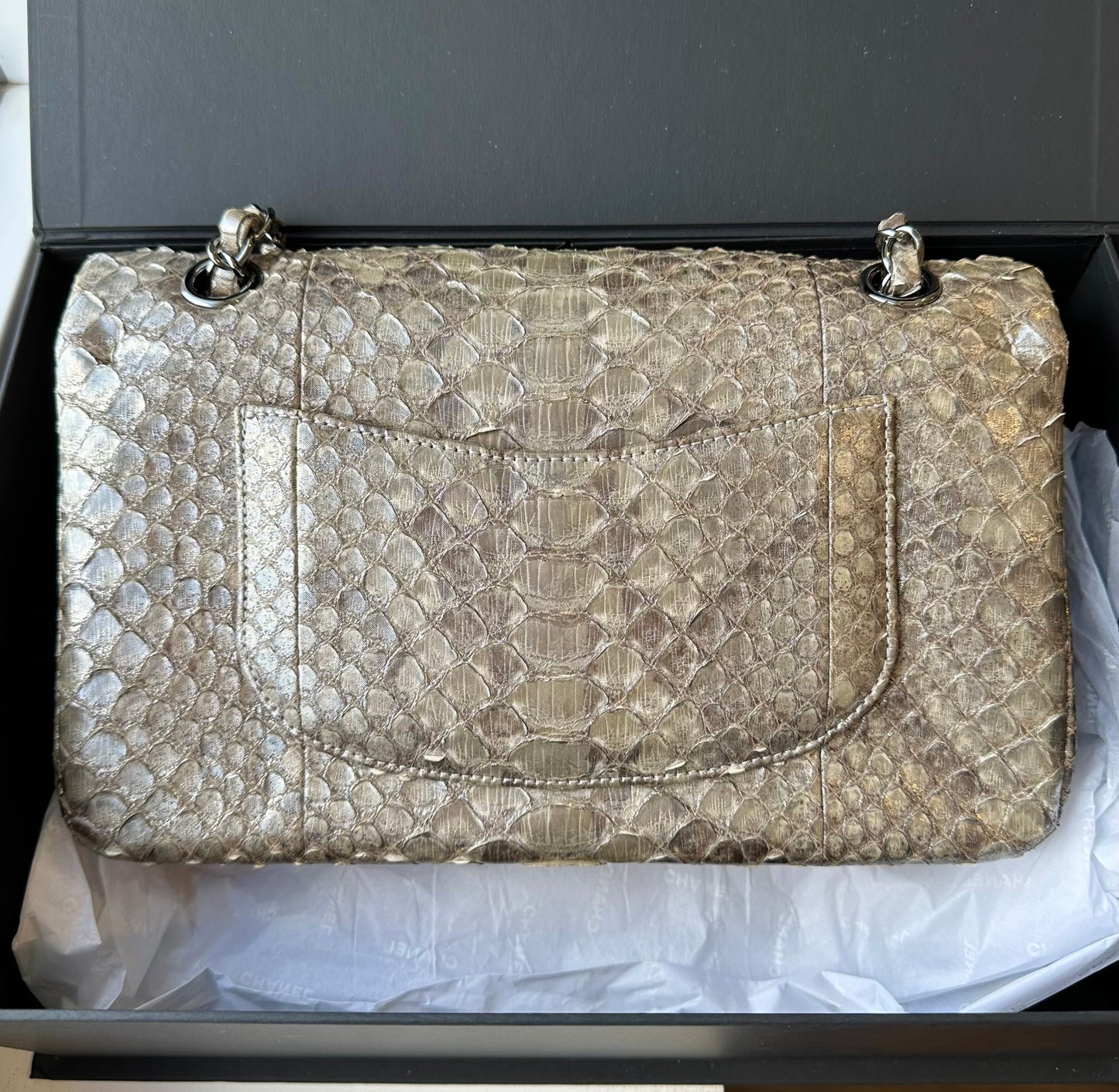 CHANEL Iridescent Python Medium Classic Double Flap - Carly Julia Sells Stuff, LLC