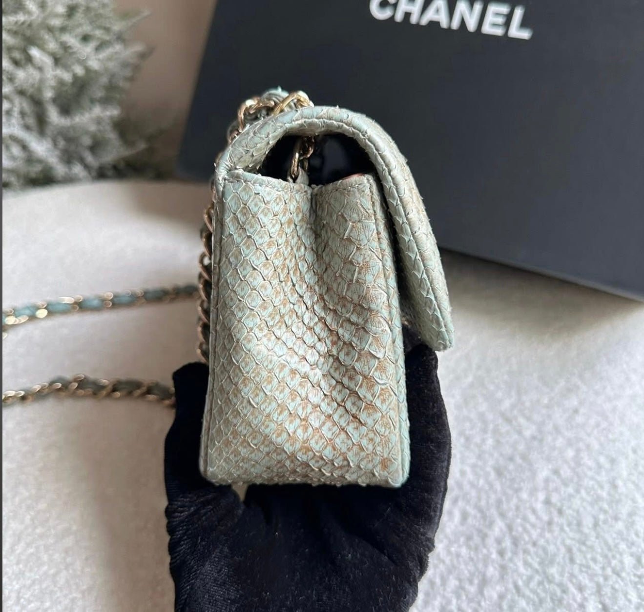 CHANEL Ombré Lizard Mini Flap - Carly Julia Sells Stuff, LLC