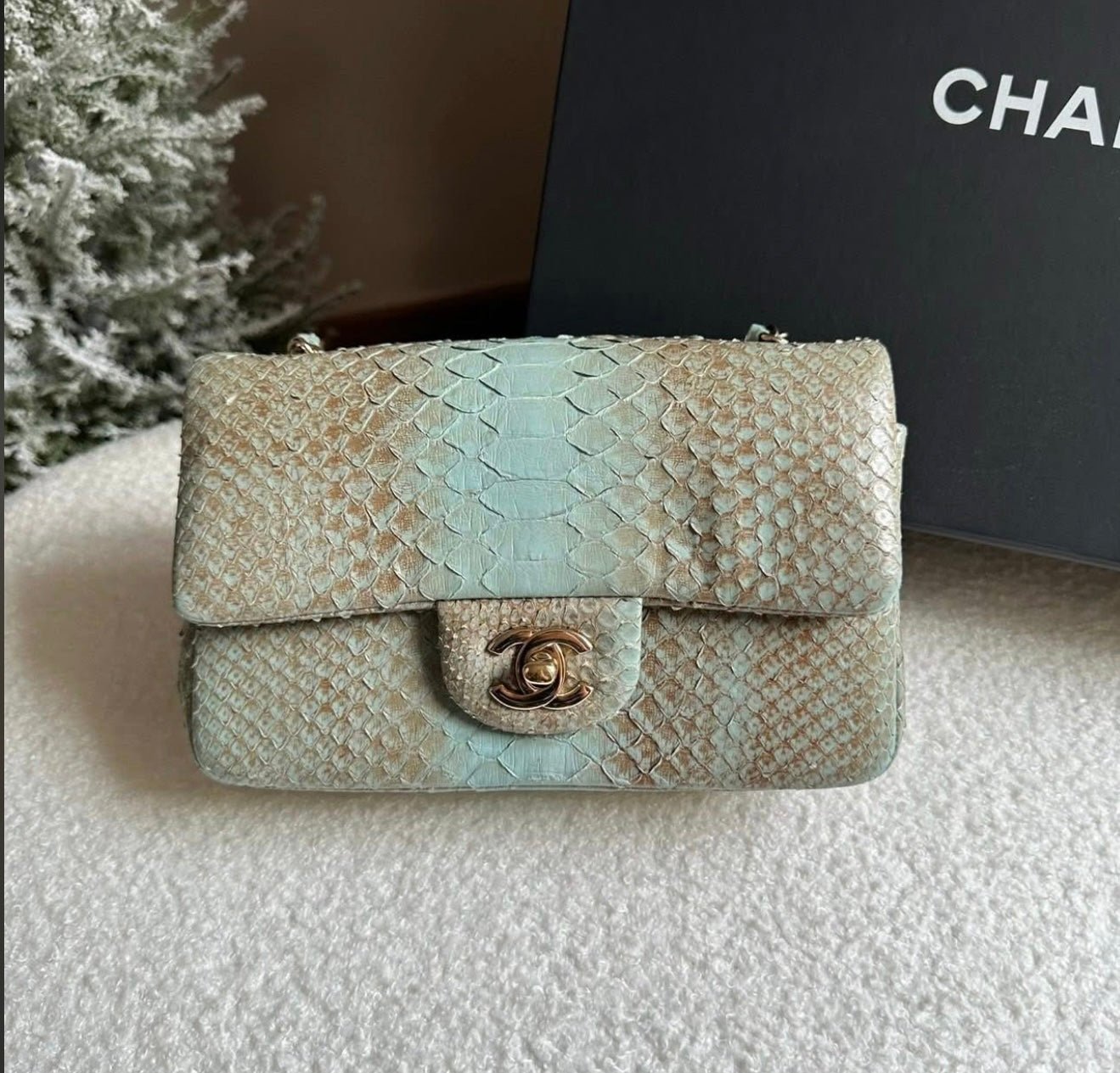 CHANEL Ombré Lizard Mini Flap - Carly Julia Sells Stuff, LLC