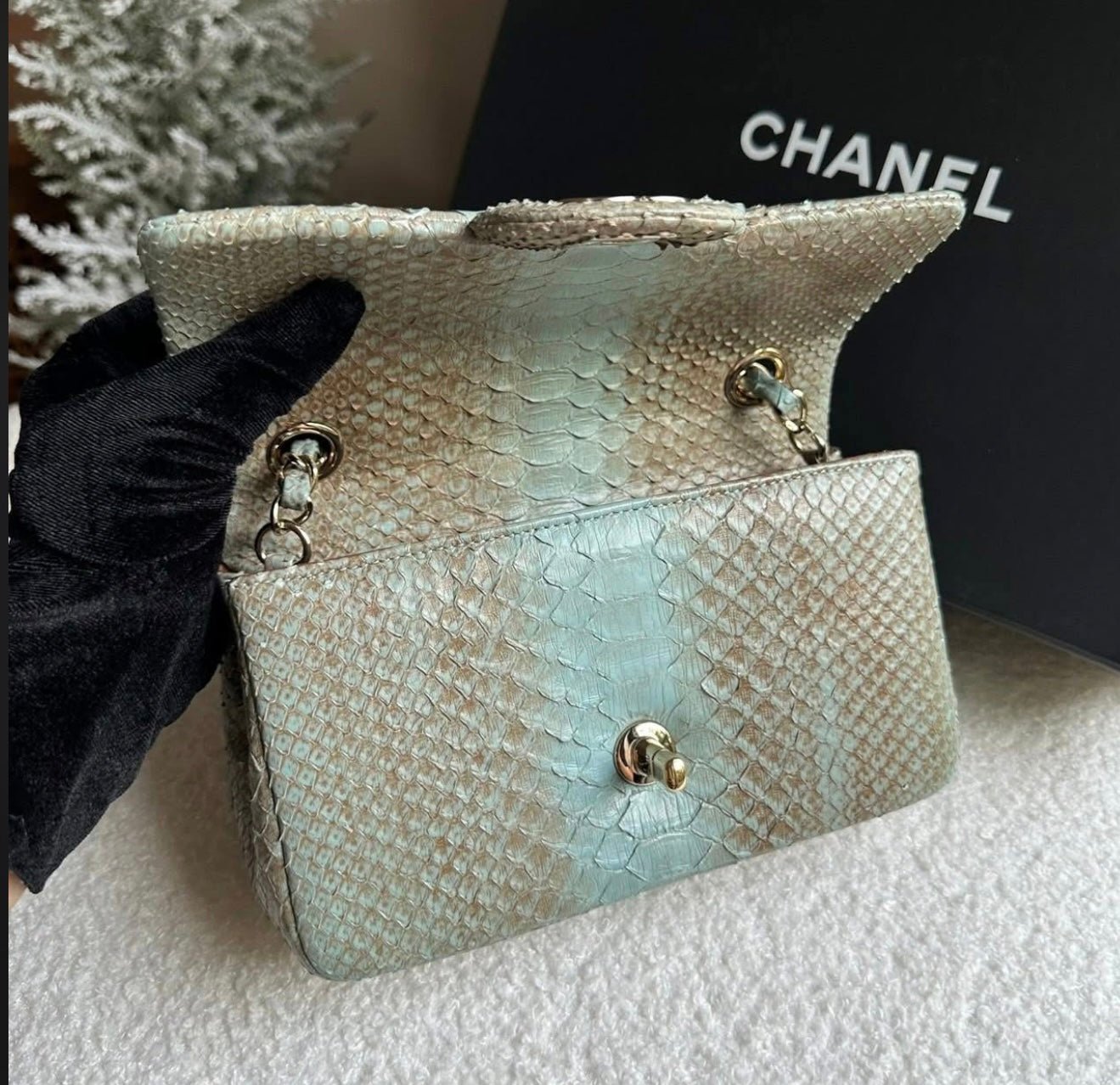 CHANEL Ombré Lizard Mini Flap - Carly Julia Sells Stuff, LLC