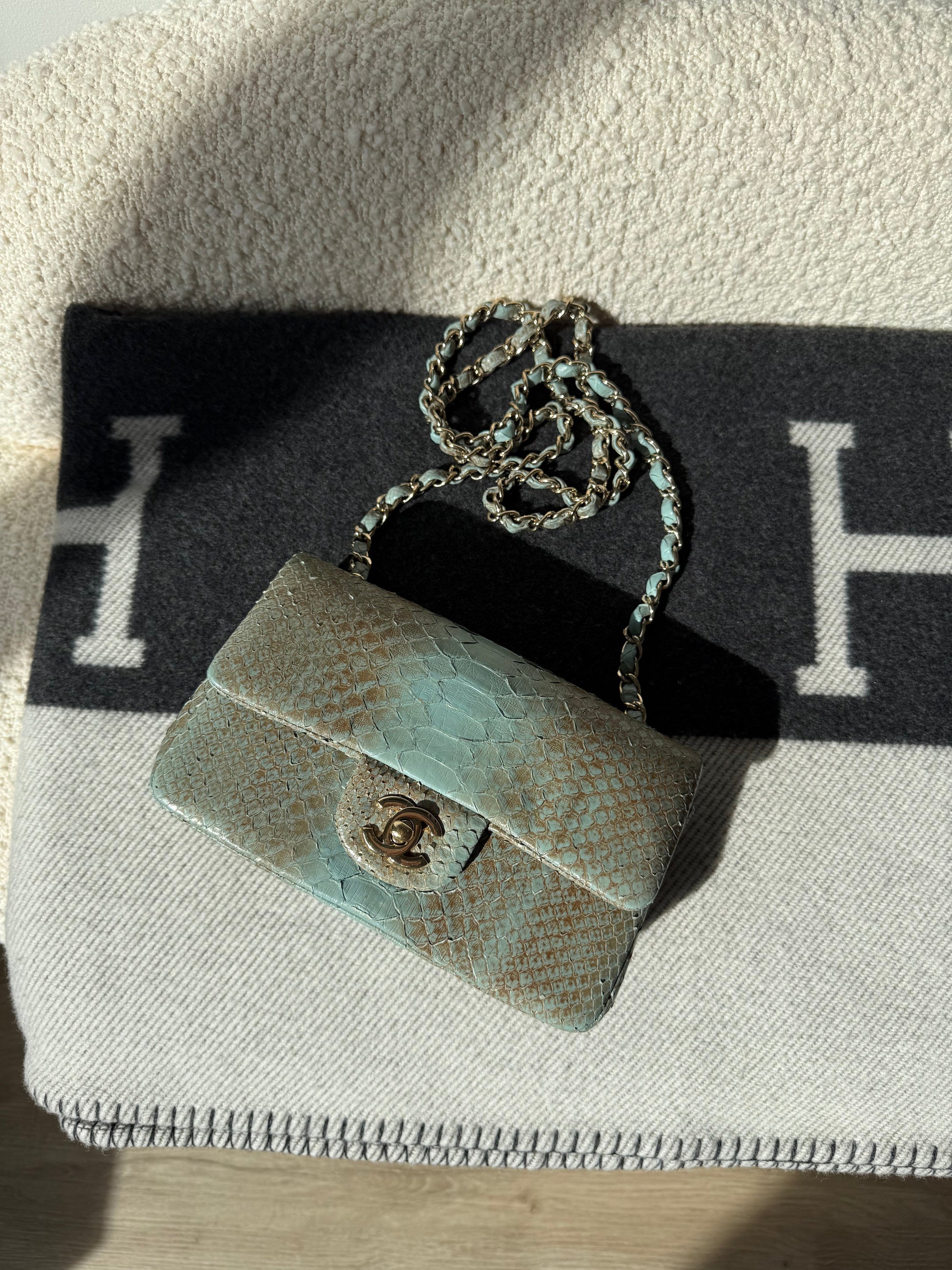 CHANEL Ombré Lizard Mini Flap - Carly Julia Sells Stuff, LLC
