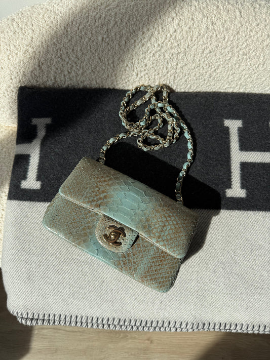 CHANEL Ombré Lizard Mini Flap - Carly Julia Sells Stuff, LLC