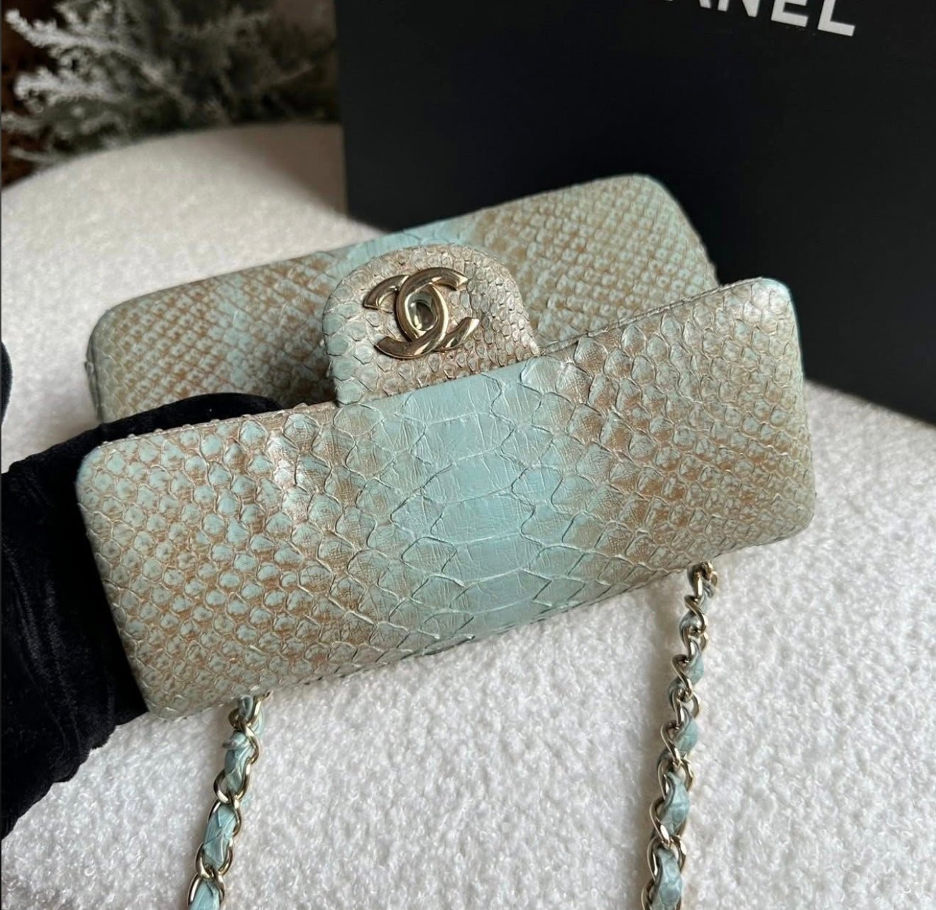 CHANEL Ombré Lizard Mini Flap - Carly Julia Sells Stuff, LLC