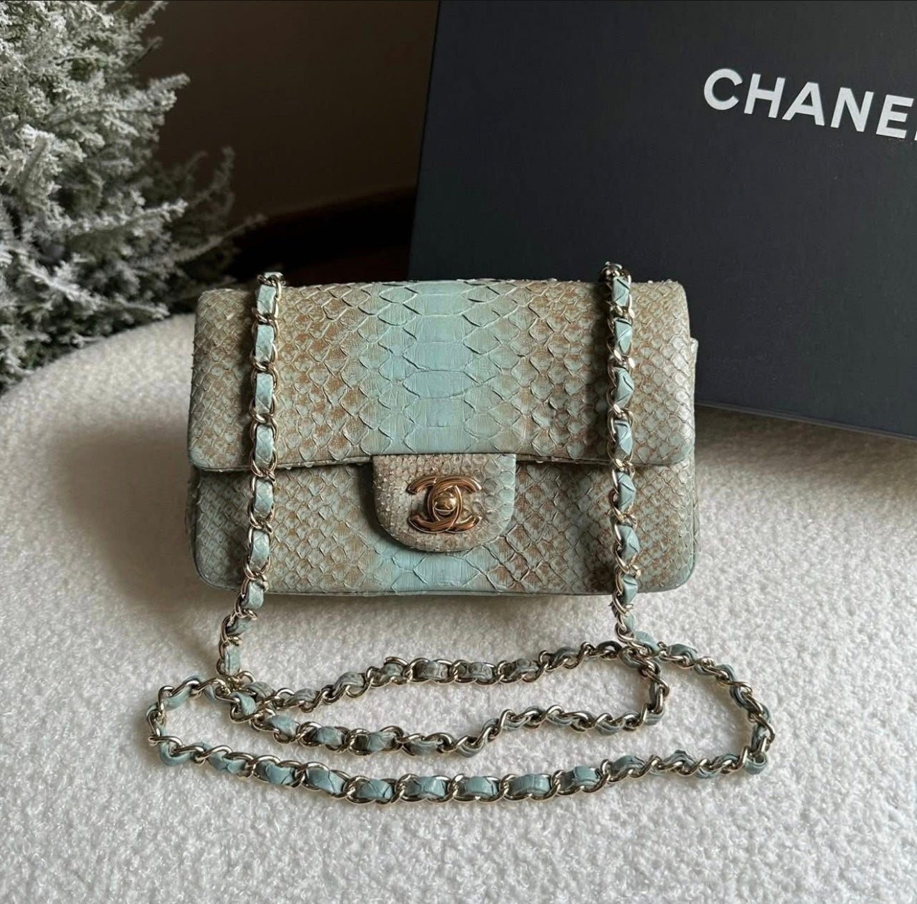 CHANEL Ombré Lizard Mini Flap - Carly Julia Sells Stuff, LLC